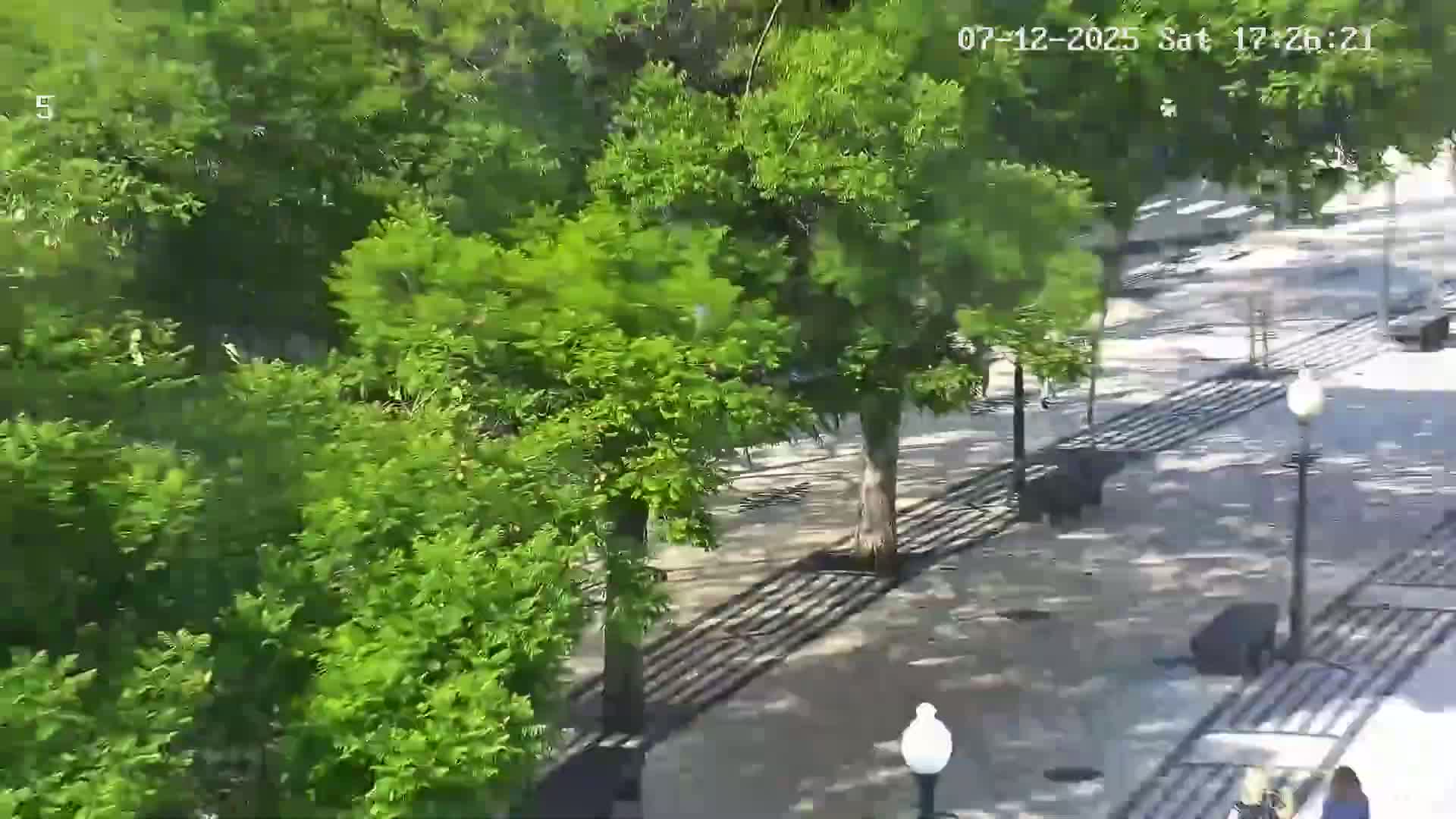 Ritz, Avenida Arriaga Avenue & Joao Goncalves Zarco Statue Live Cam - Funchal, Madeira, Portugal