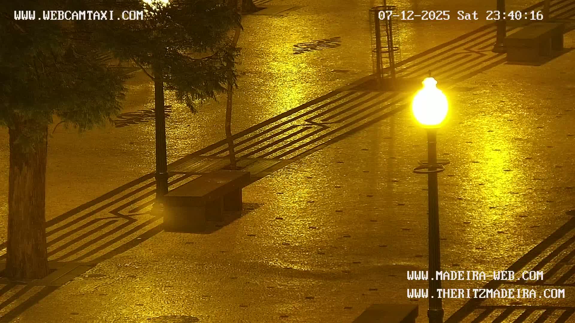 Ritz, Avenida Arriaga Avenue & Joao Goncalves Zarco Statue Live Cam - Funchal, Madeira, Portugal