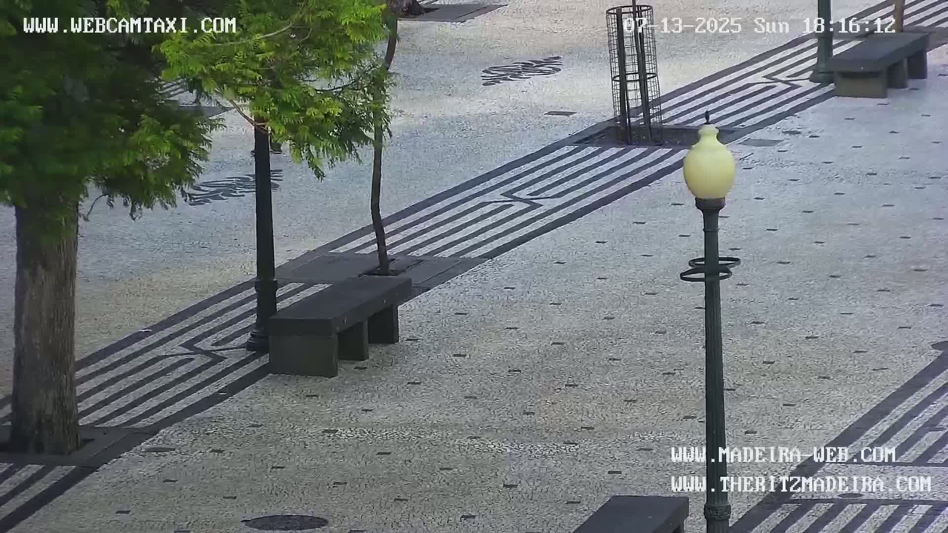 Ritz, Avenida Arriaga Avenue & Joao Goncalves Zarco Statue Live Cam - Funchal, Madeira, Portugal