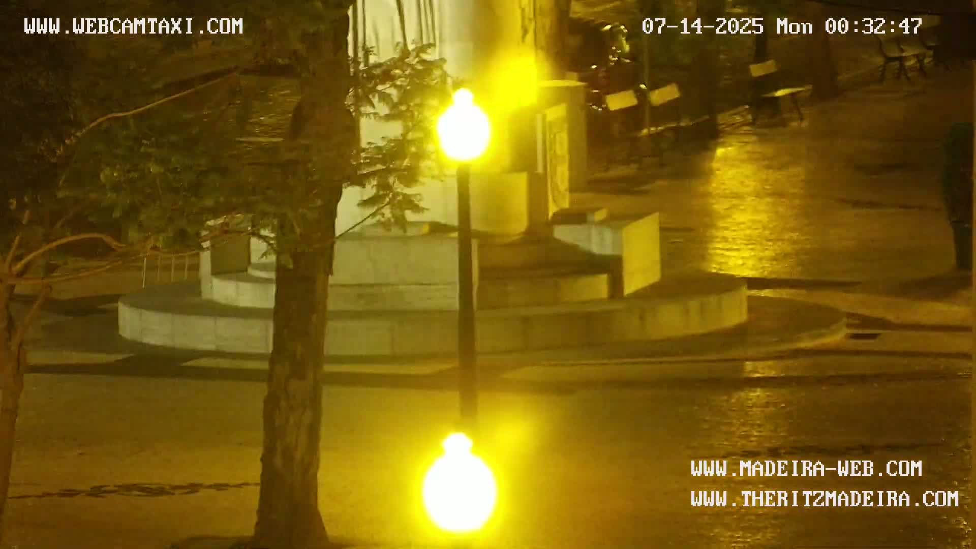 Ritz, Avenida Arriaga Avenue & Joao Goncalves Zarco Statue Live Cam - Funchal, Madeira, Portugal