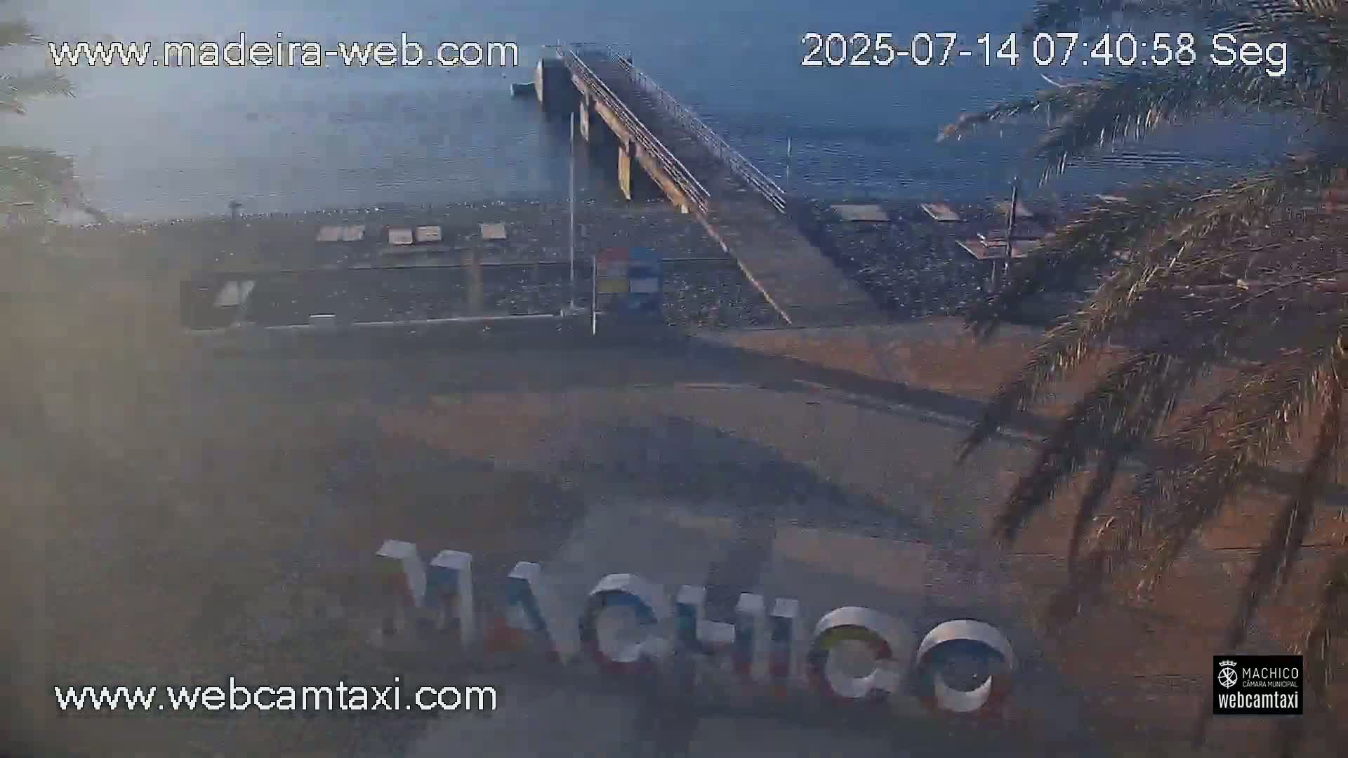 Ritz, Avenida Arriaga Avenue & Joao Goncalves Zarco Statue Live Cam - Funchal, Madeira, Portugal