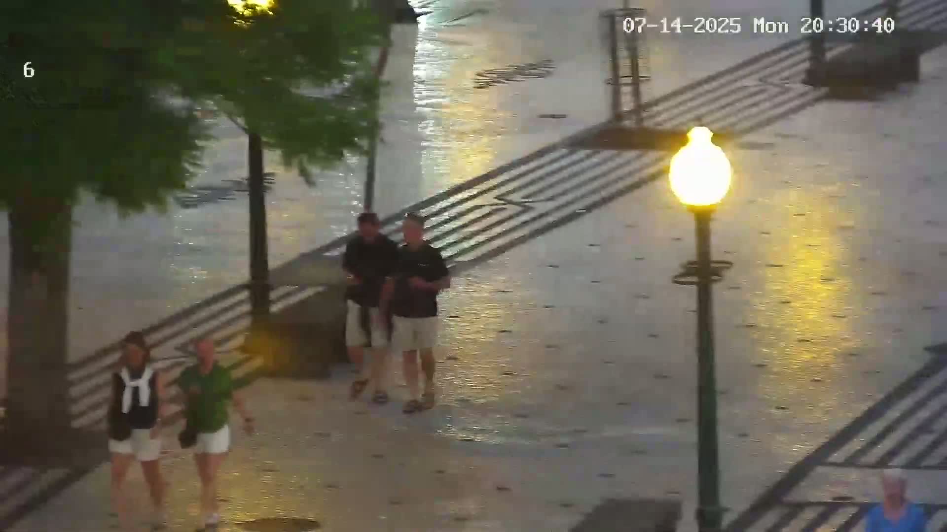 Ritz, Avenida Arriaga Avenue & Joao Goncalves Zarco Statue Live Cam - Funchal, Madeira, Portugal