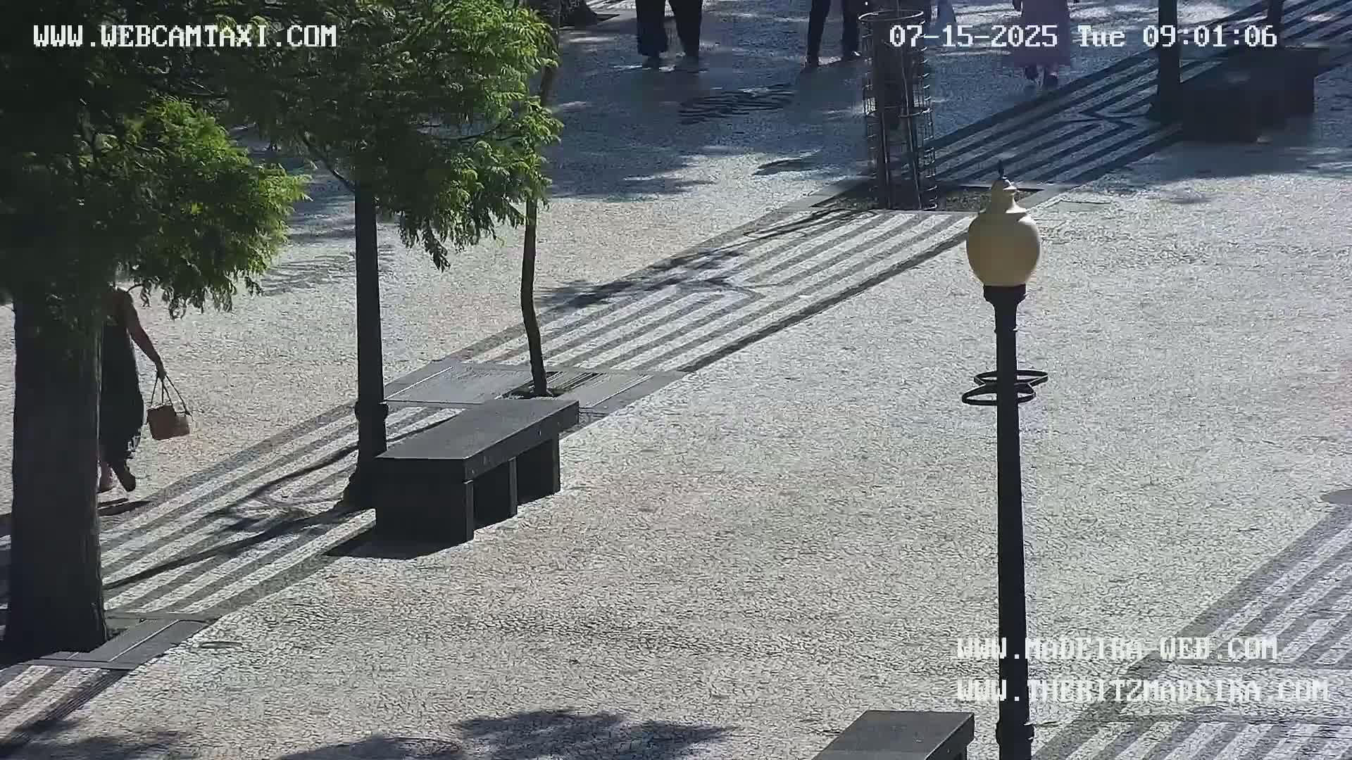 Ritz, Avenida Arriaga Avenue & Joao Goncalves Zarco Statue Live Cam - Funchal, Madeira, Portugal