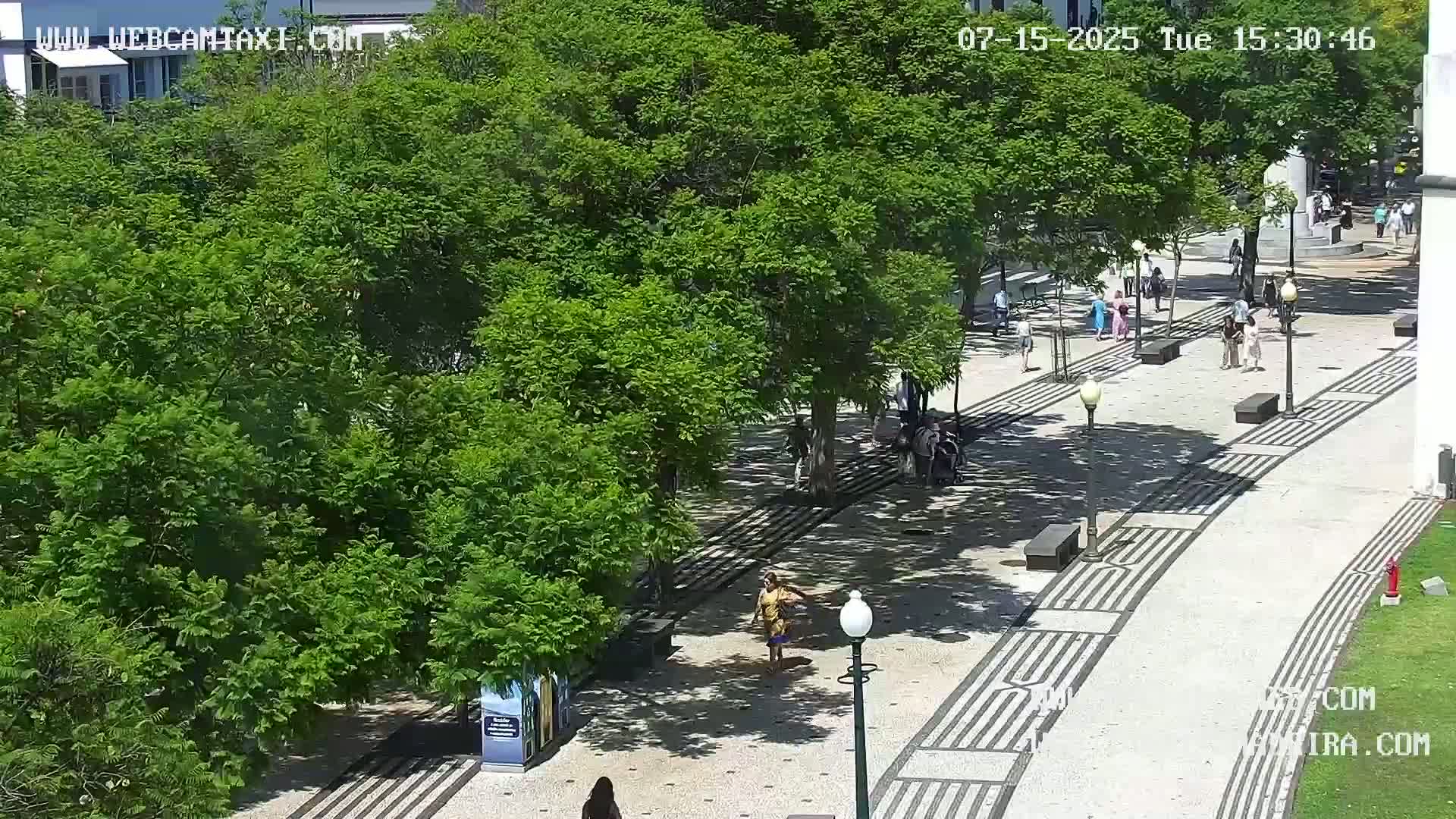 Ritz, Avenida Arriaga Avenue & Joao Goncalves Zarco Statue Live Cam - Funchal, Madeira, Portugal