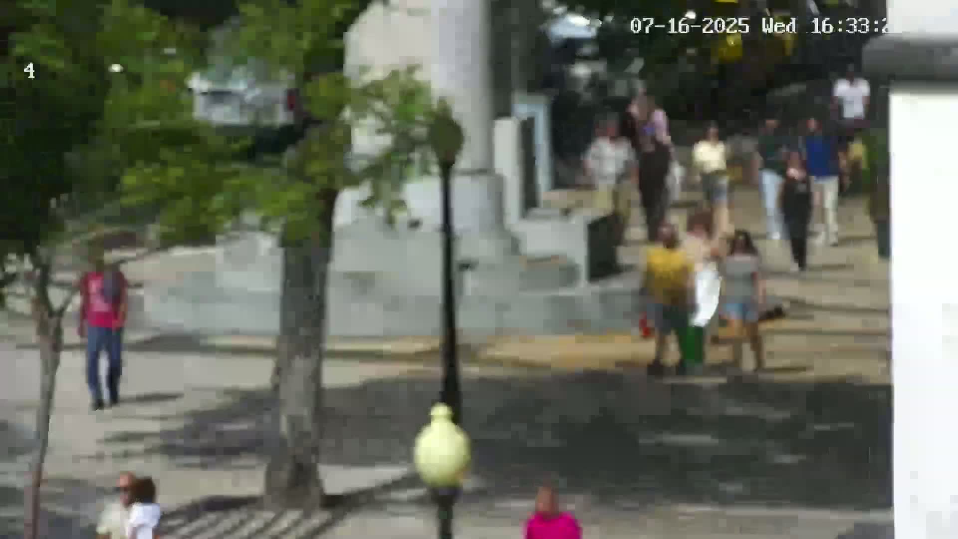 Ritz, Avenida Arriaga Avenue & Joao Goncalves Zarco Statue Live Cam - Funchal, Madeira, Portugal
