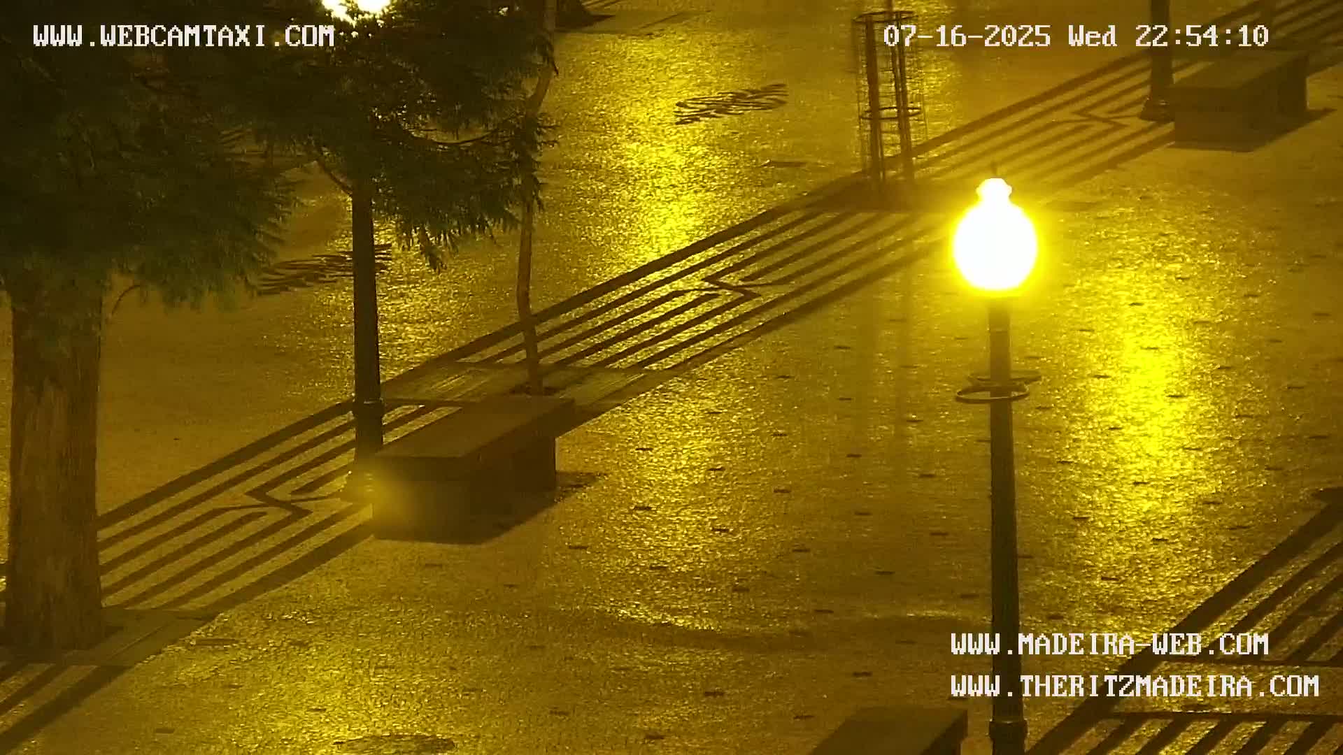 Ritz, Avenida Arriaga Avenue & Joao Goncalves Zarco Statue Live Cam - Funchal, Madeira, Portugal