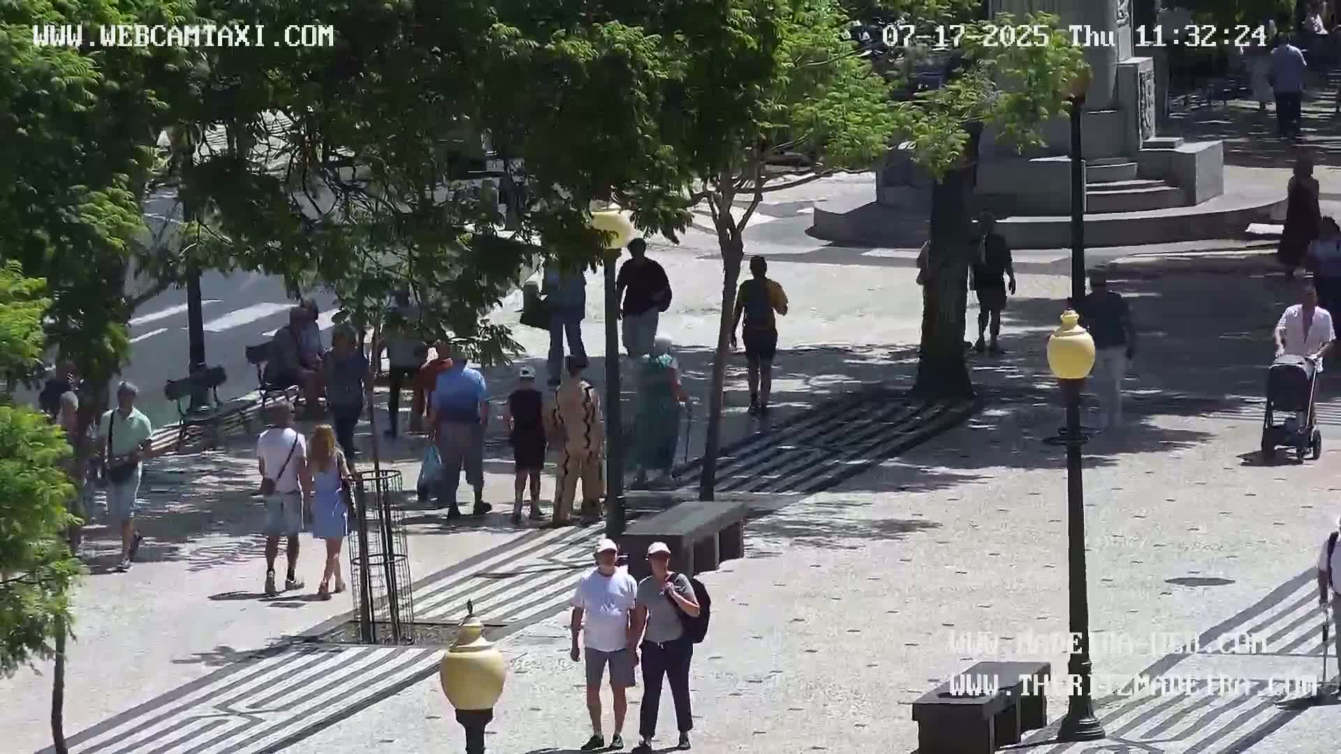 Ritz, Avenida Arriaga Avenue & Joao Goncalves Zarco Statue Live Cam - Funchal, Madeira, Portugal