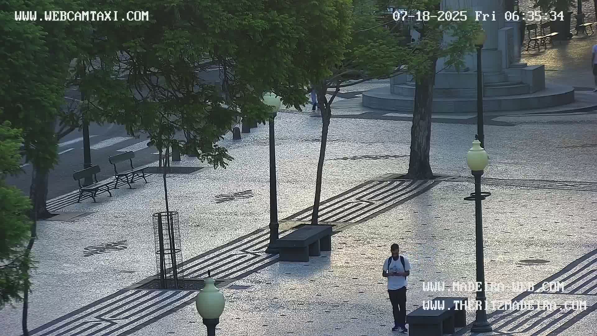 Ritz, Avenida Arriaga Avenue & Joao Goncalves Zarco Statue Live Cam - Funchal, Madeira, Portugal