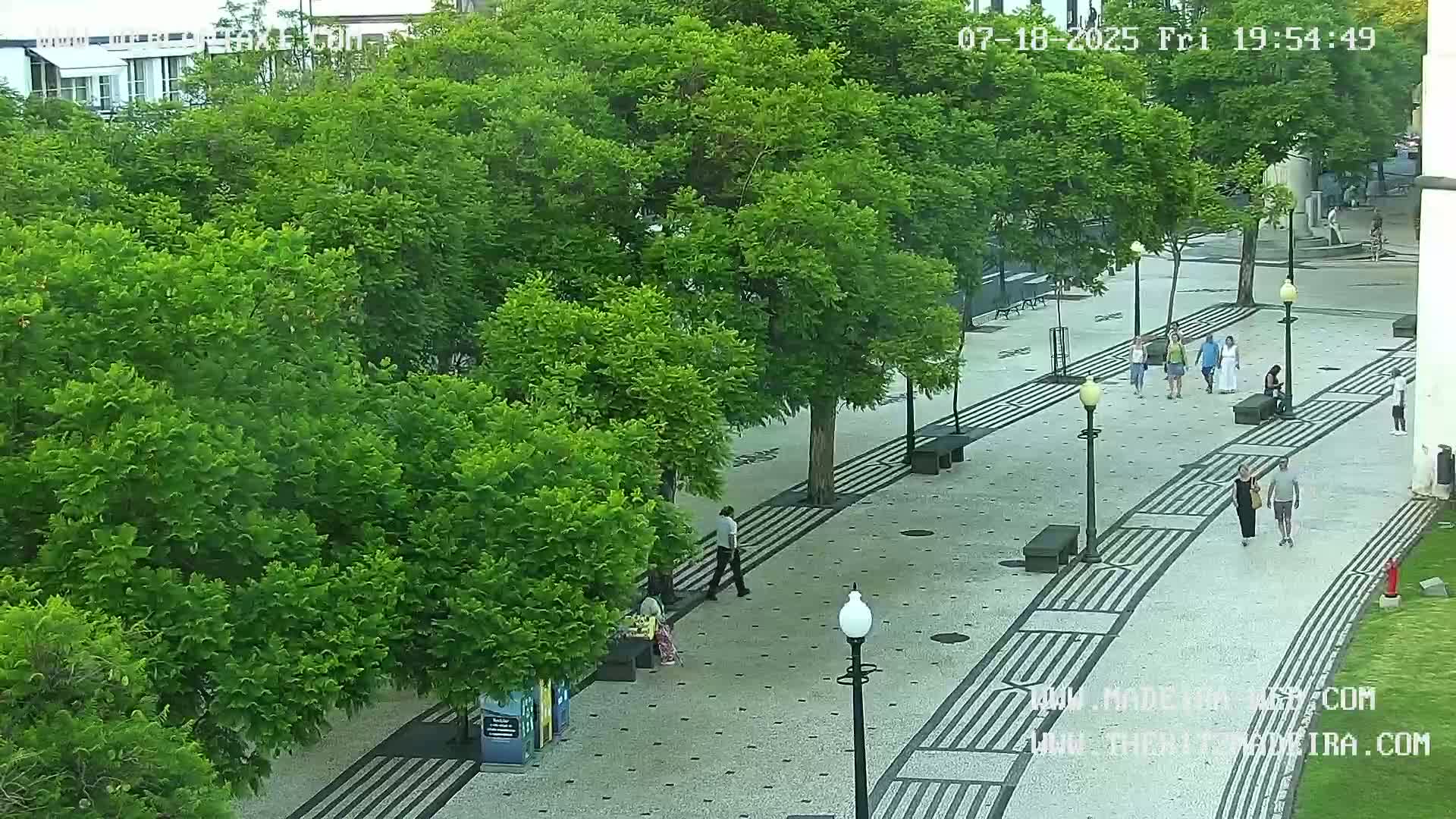 Ritz, Avenida Arriaga Avenue & Joao Goncalves Zarco Statue Live Cam - Funchal, Madeira, Portugal