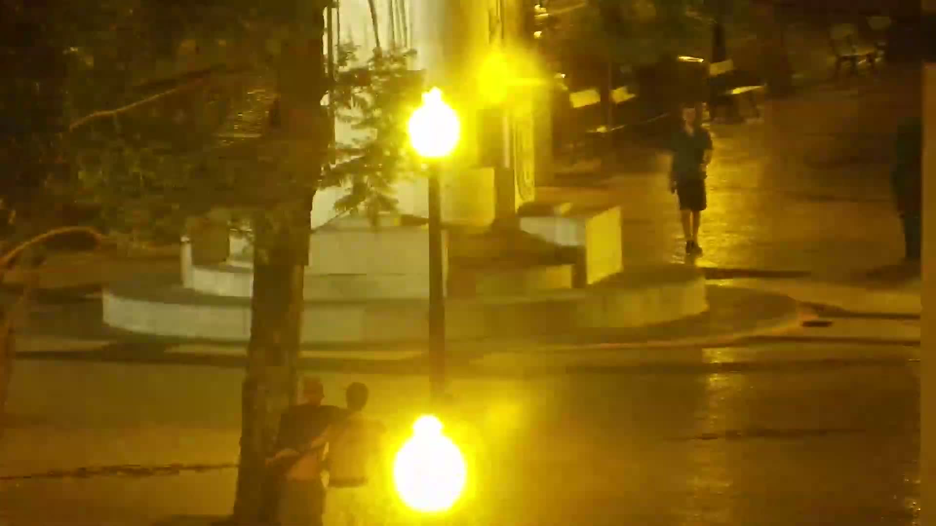 Ritz, Avenida Arriaga Avenue & Joao Goncalves Zarco Statue Live Cam - Funchal, Madeira, Portugal