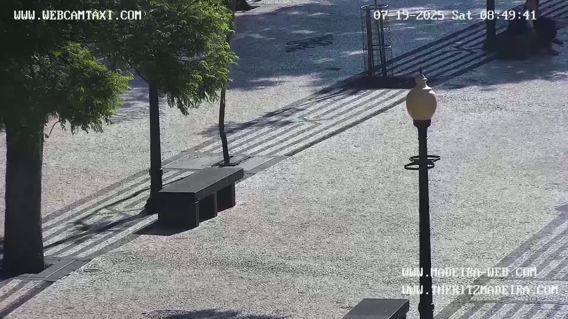 Ritz, Avenida Arriaga Avenue & Joao Goncalves Zarco Statue Live Cam - Funchal, Madeira, Portugal