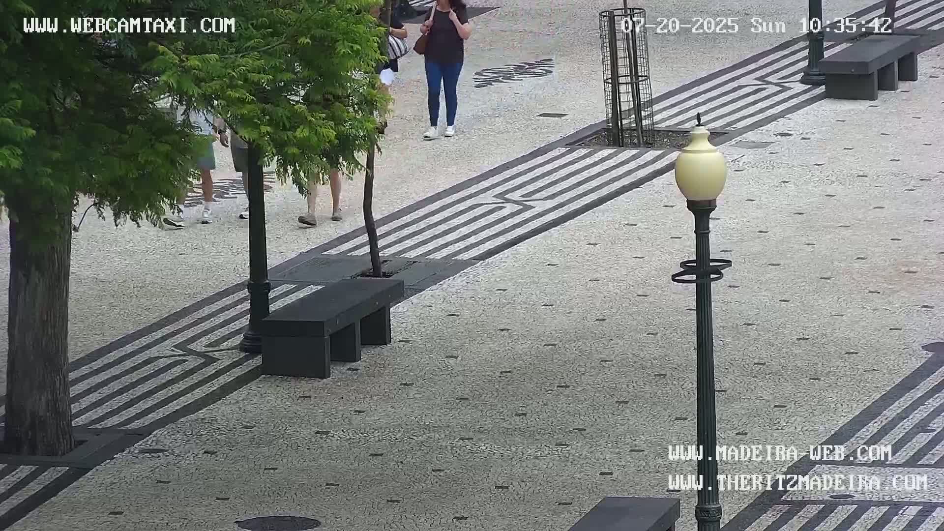 Ritz, Avenida Arriaga Avenue & Joao Goncalves Zarco Statue Live Cam - Funchal, Madeira, Portugal