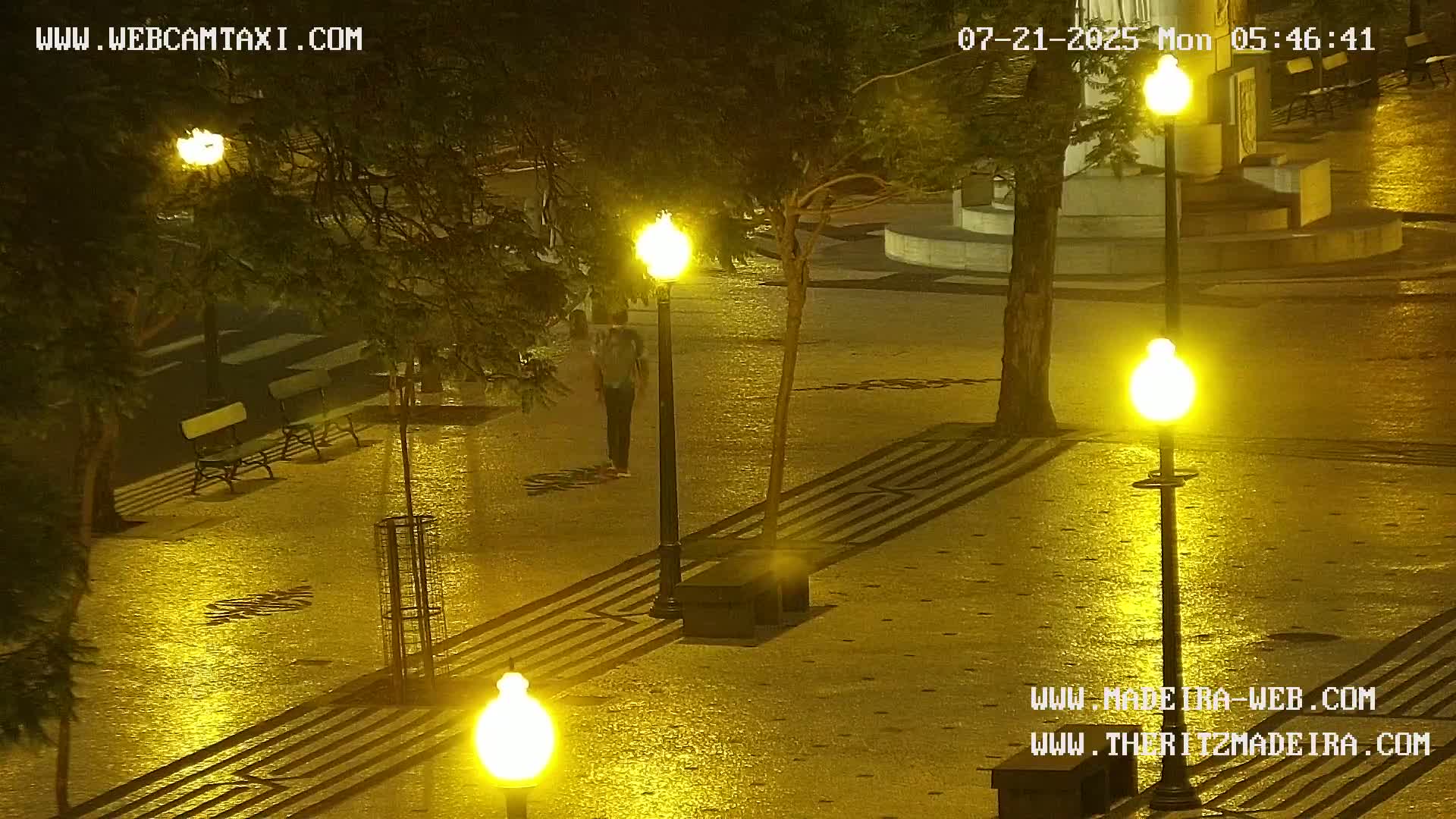 Ritz, Avenida Arriaga Avenue & Joao Goncalves Zarco Statue Live Cam - Funchal, Madeira, Portugal