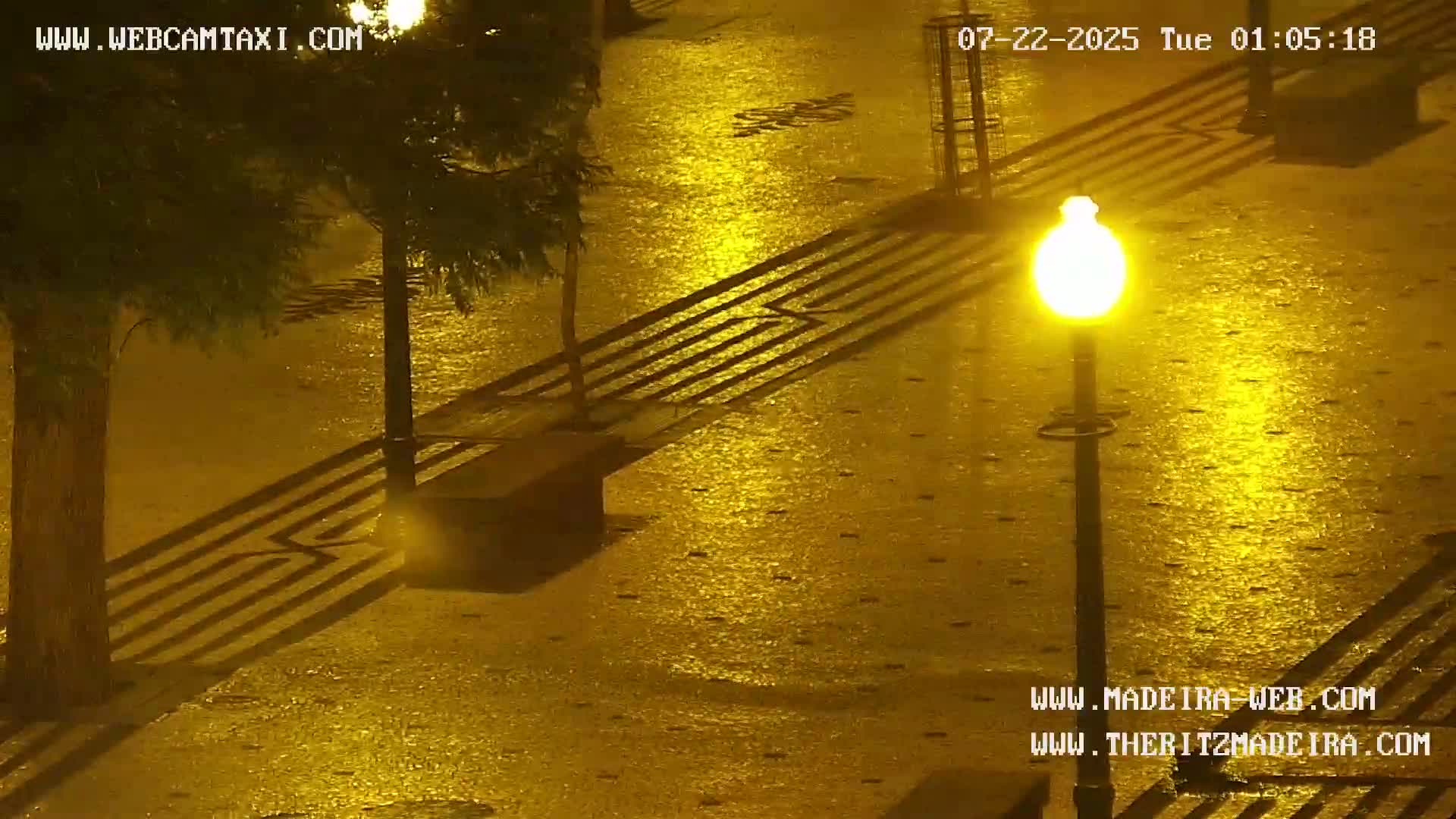 Ritz, Avenida Arriaga Avenue & Joao Goncalves Zarco Statue Live Cam - Funchal, Madeira, Portugal