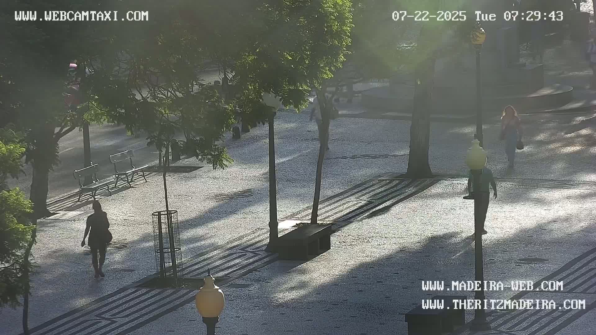 A paved plaza with trees and several people walking, under a hazy, sunny sky.