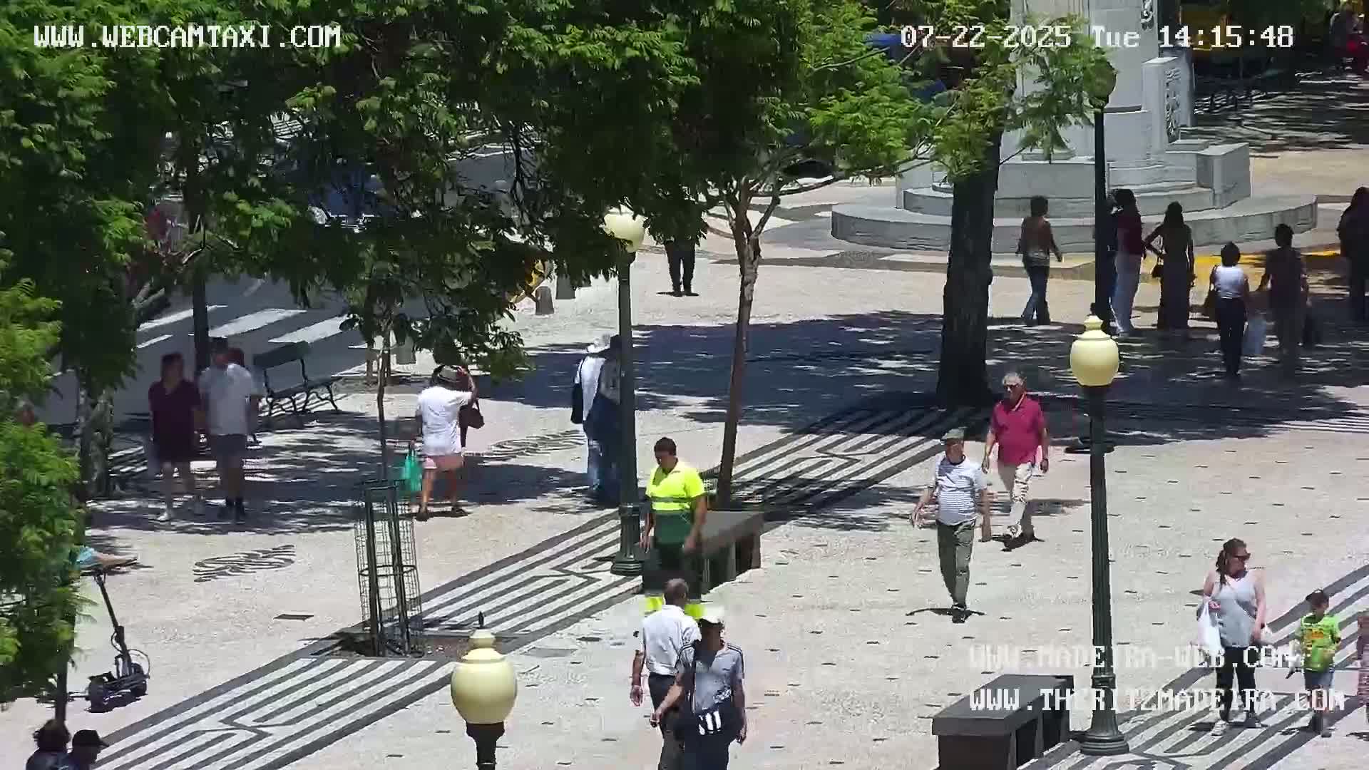Ritz, Avenida Arriaga Avenue & Joao Goncalves Zarco Statue Live Cam - Funchal, Madeira, Portugal
