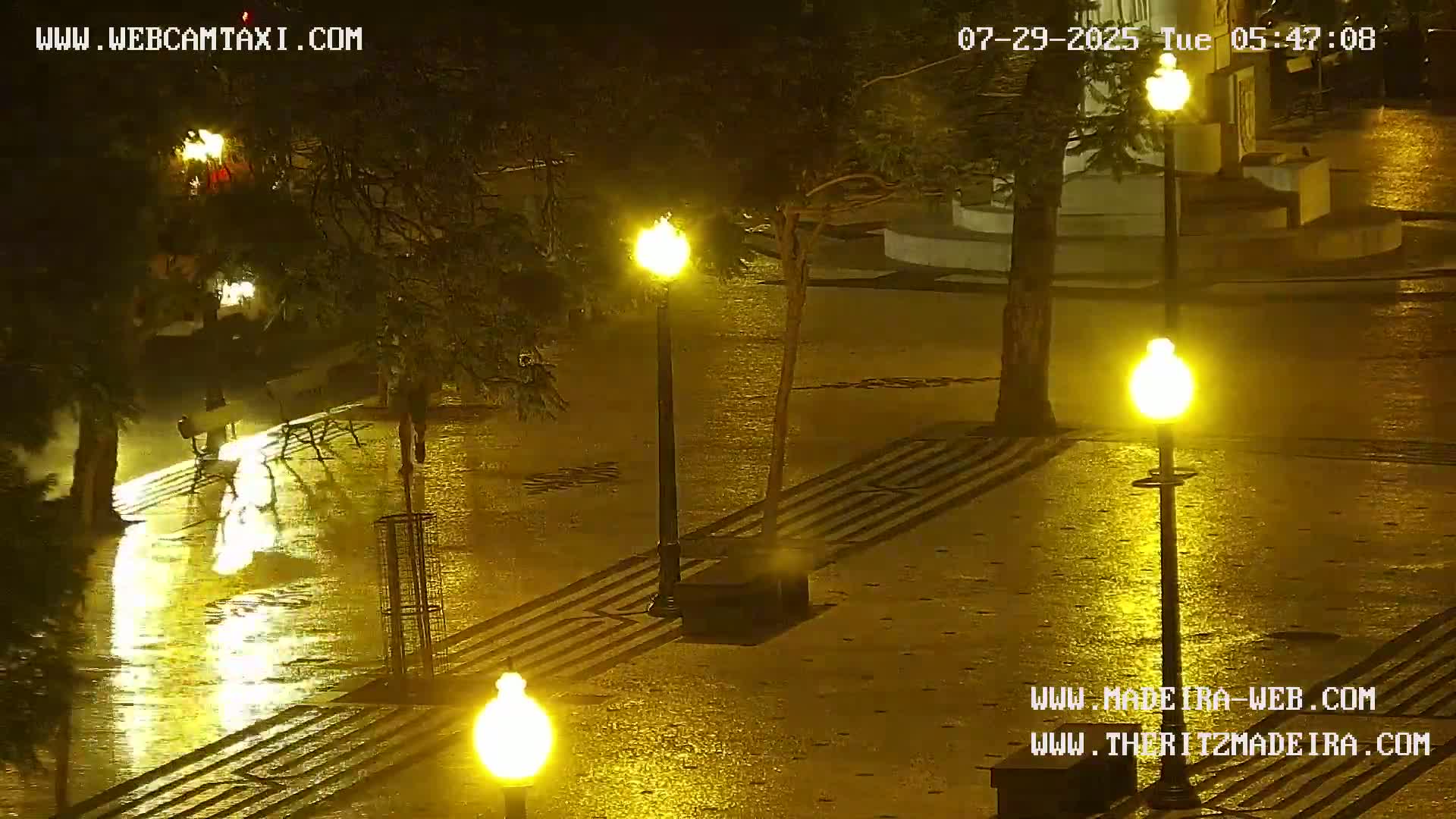Ritz, Avenida Arriaga Avenue & Joao Goncalves Zarco Statue Live Cam - Funchal, Madeira, Portugal