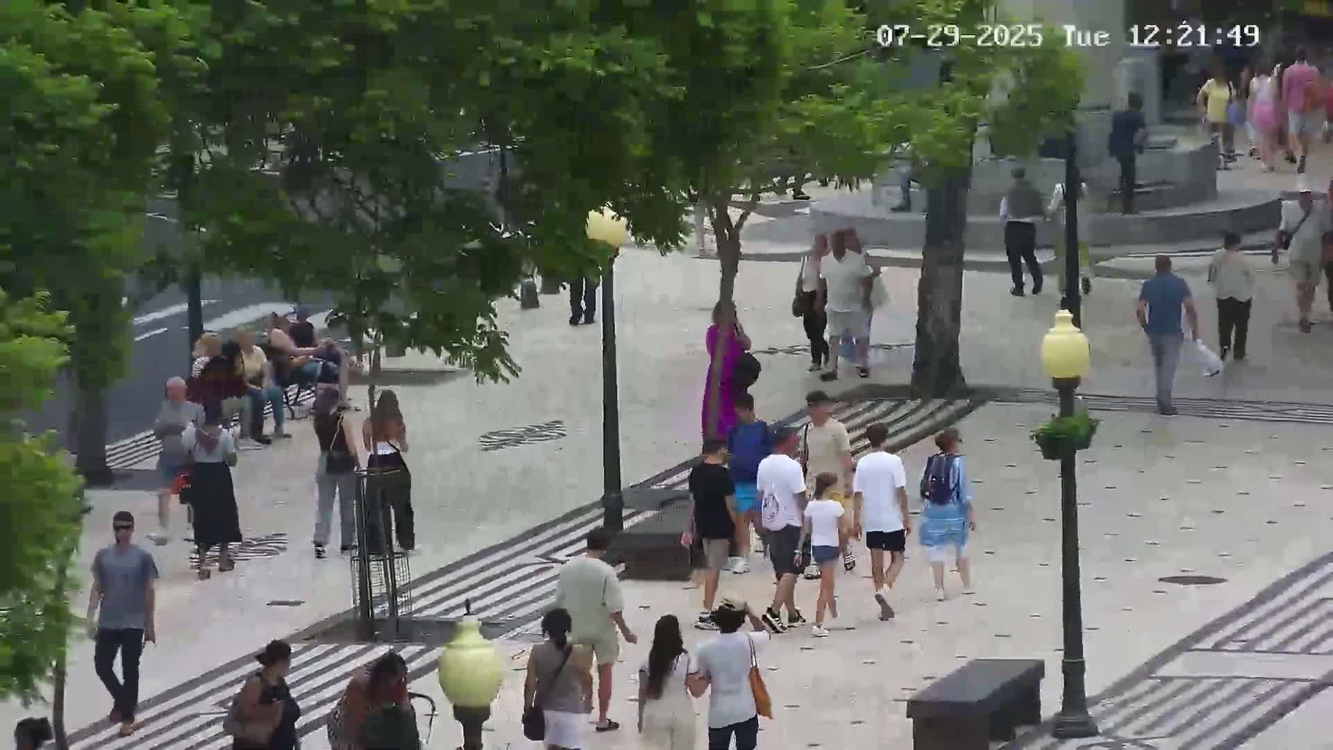 Ritz, Avenida Arriaga Avenue & Joao Goncalves Zarco Statue Live Cam - Funchal, Madeira, Portugal