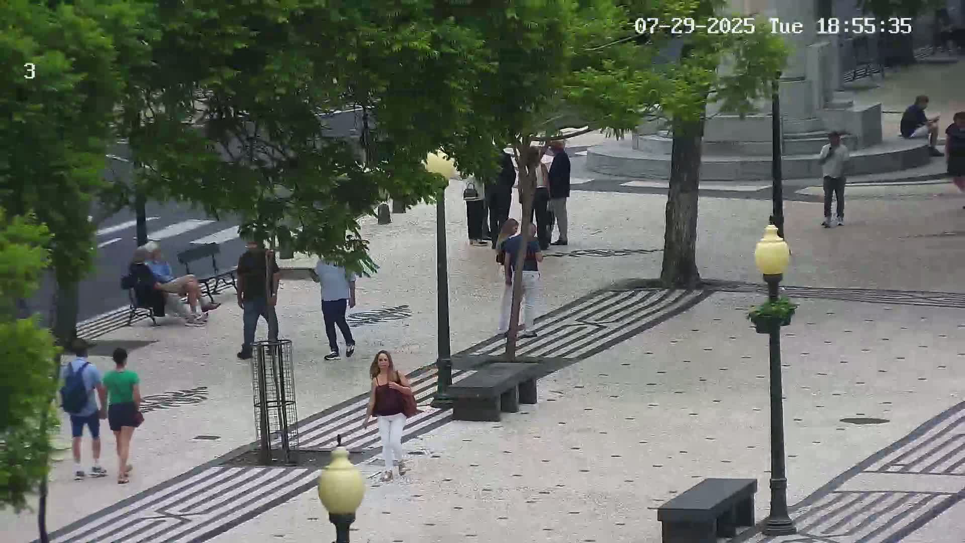 Ritz, Avenida Arriaga Avenue & Joao Goncalves Zarco Statue Live Cam - Funchal, Madeira, Portugal