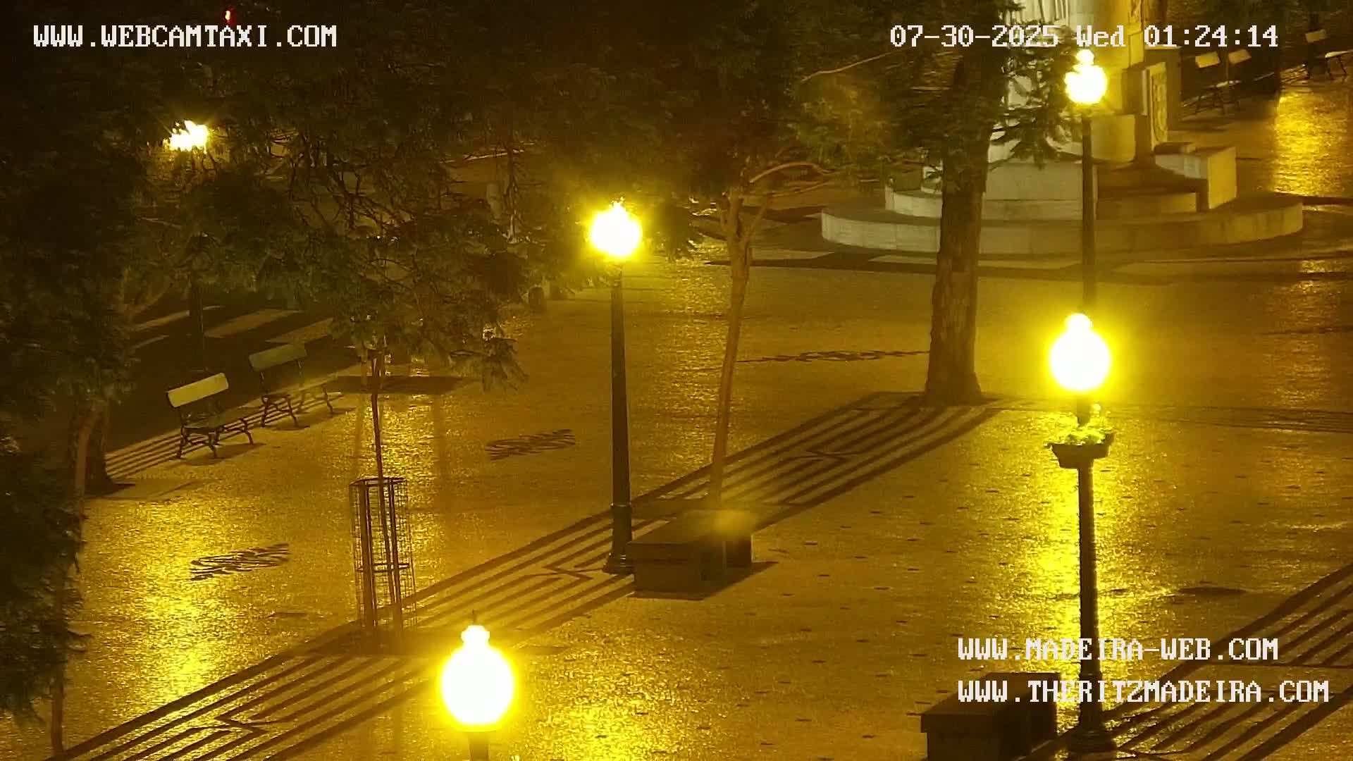 Ritz, Avenida Arriaga Avenue & Joao Goncalves Zarco Statue Live Cam - Funchal, Madeira, Portugal