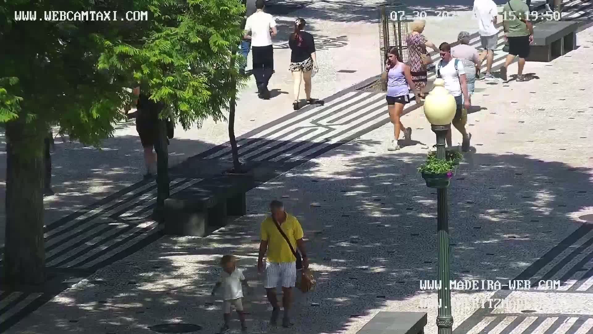 Ritz, Avenida Arriaga Avenue & Joao Goncalves Zarco Statue Live Cam - Funchal, Madeira, Portugal