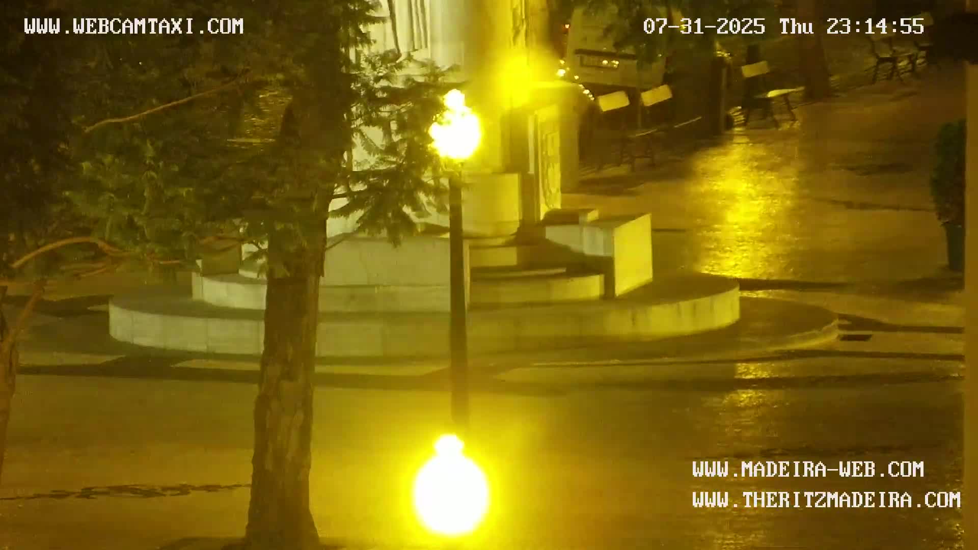 A nighttime view of a wet, paved plaza with a lamppost, a tree, and a low stone structure.