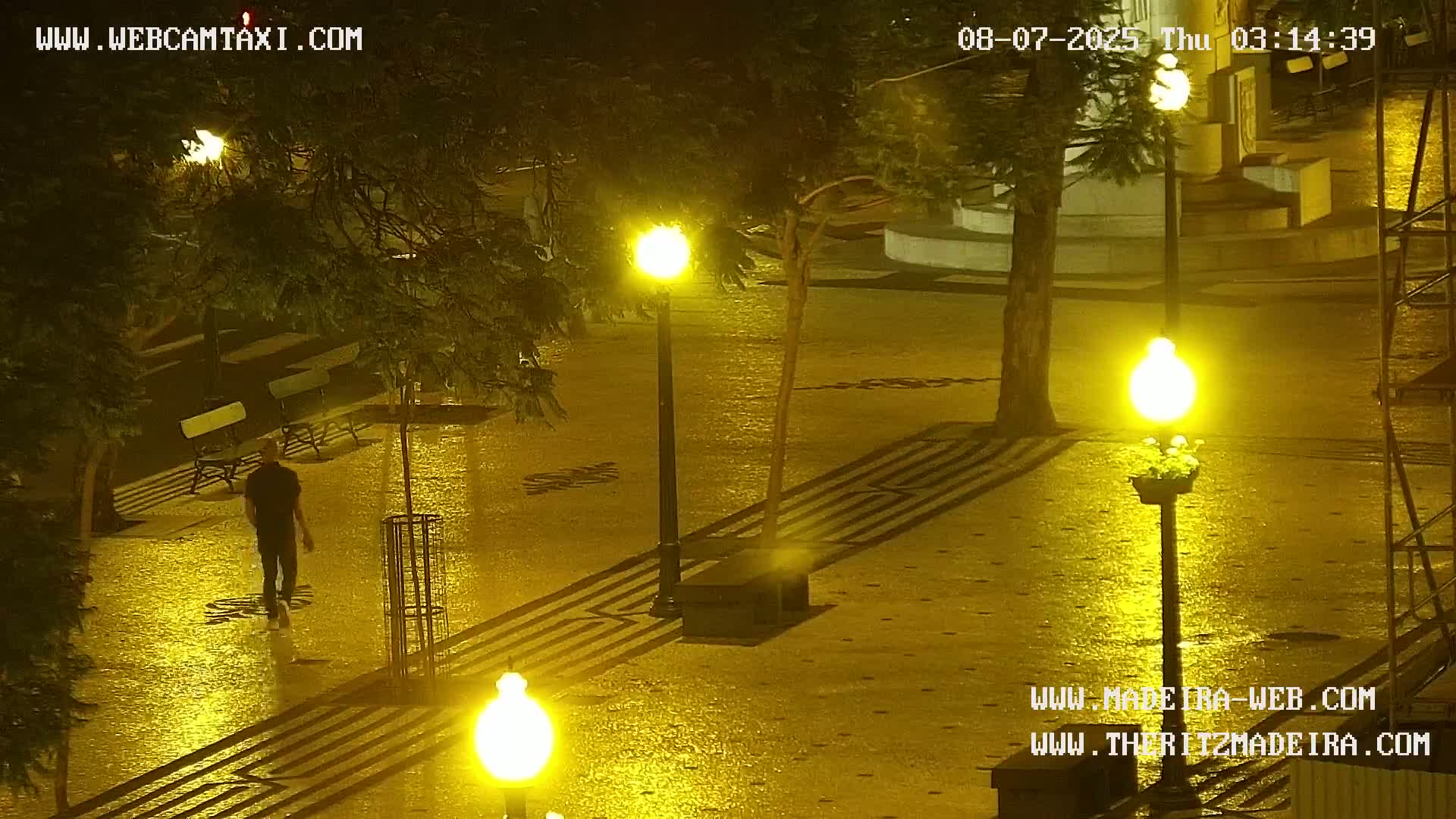 Ritz, Avenida Arriaga Avenue & Joao Goncalves Zarco Statue Live Cam - Funchal, Madeira, Portugal