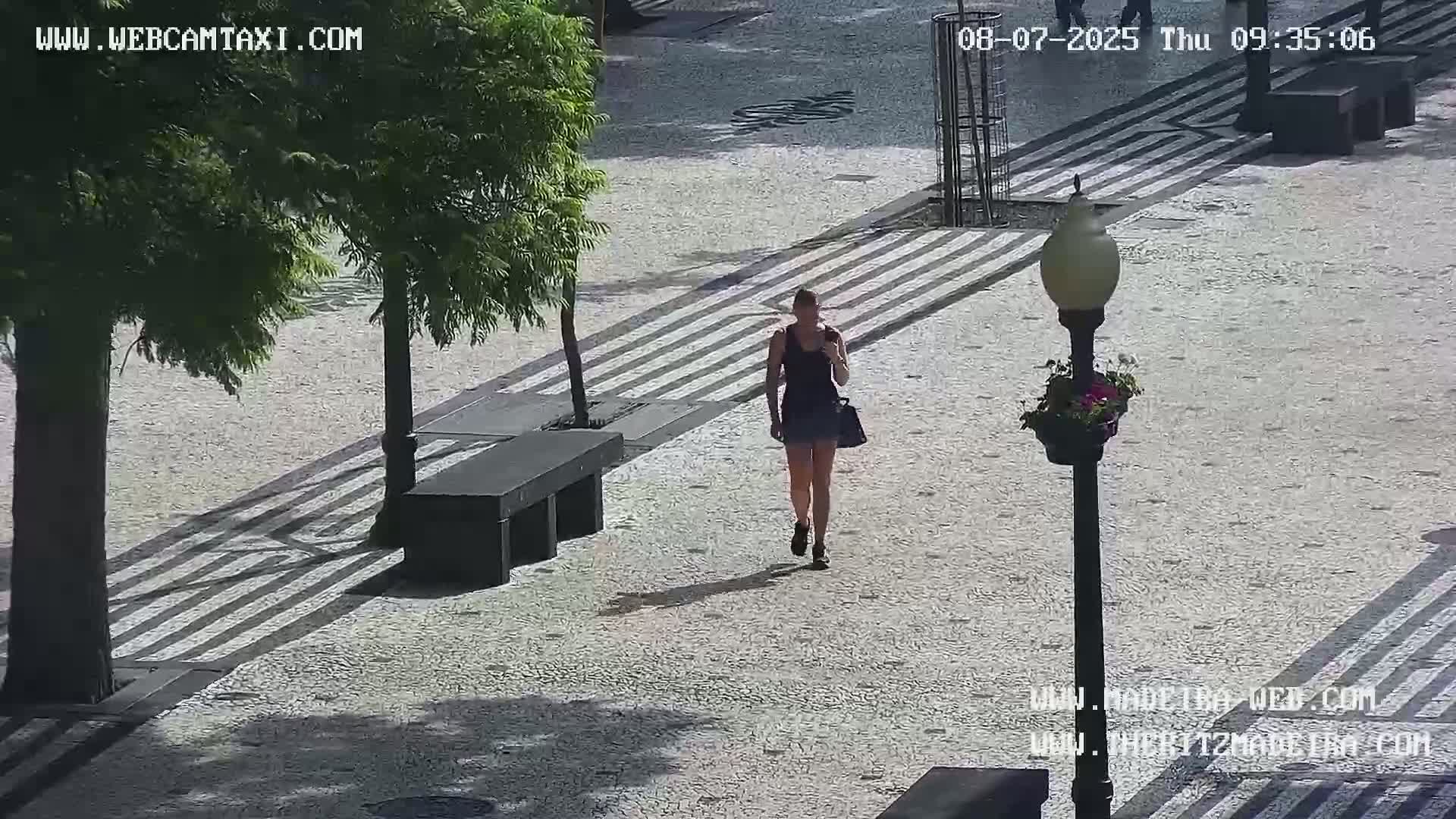 Ritz, Avenida Arriaga Avenue & Joao Goncalves Zarco Statue Live Cam - Funchal, Madeira, Portugal