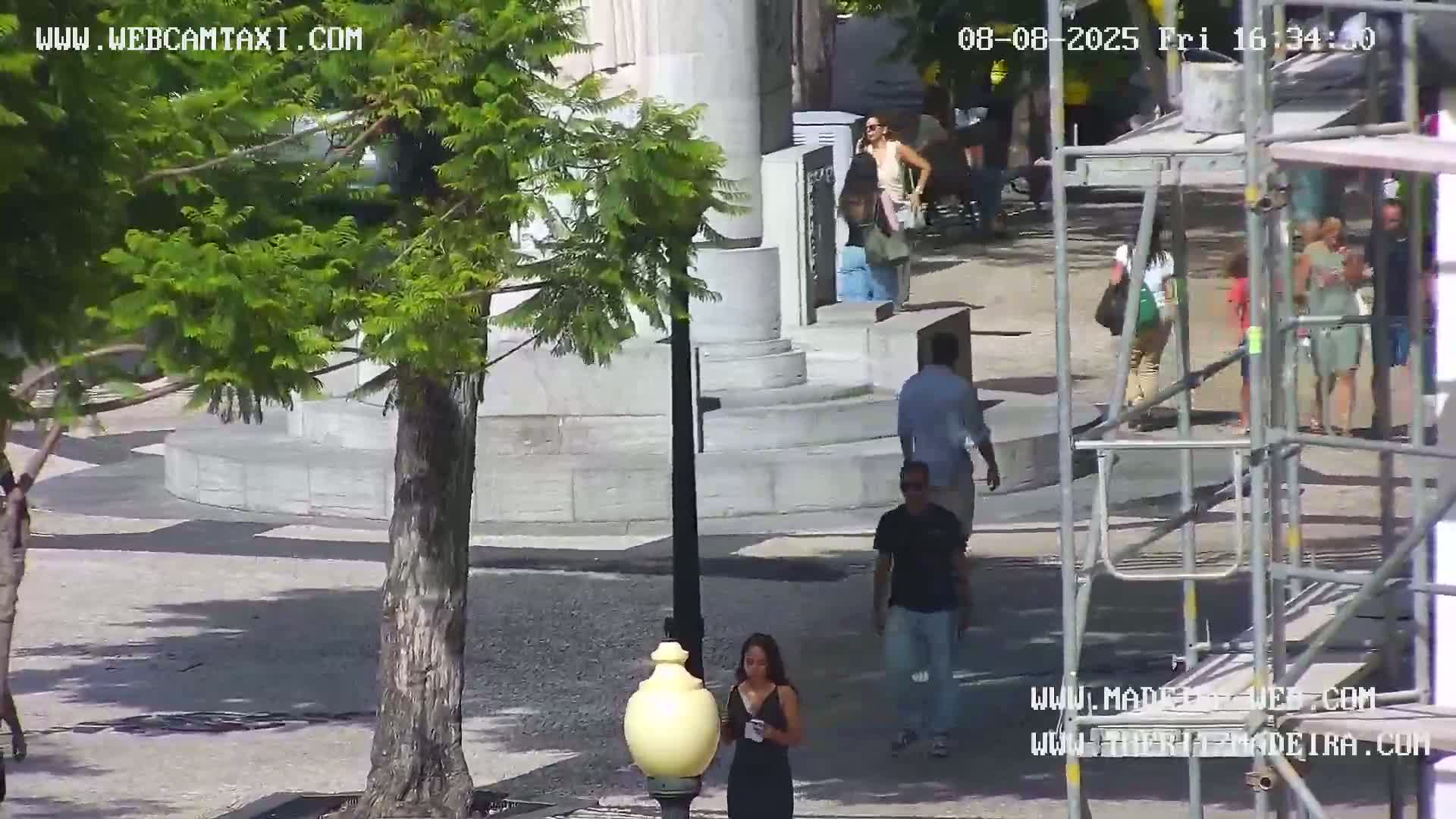 Ritz, Avenida Arriaga Avenue & Joao Goncalves Zarco Statue Live Cam - Funchal, Madeira, Portugal