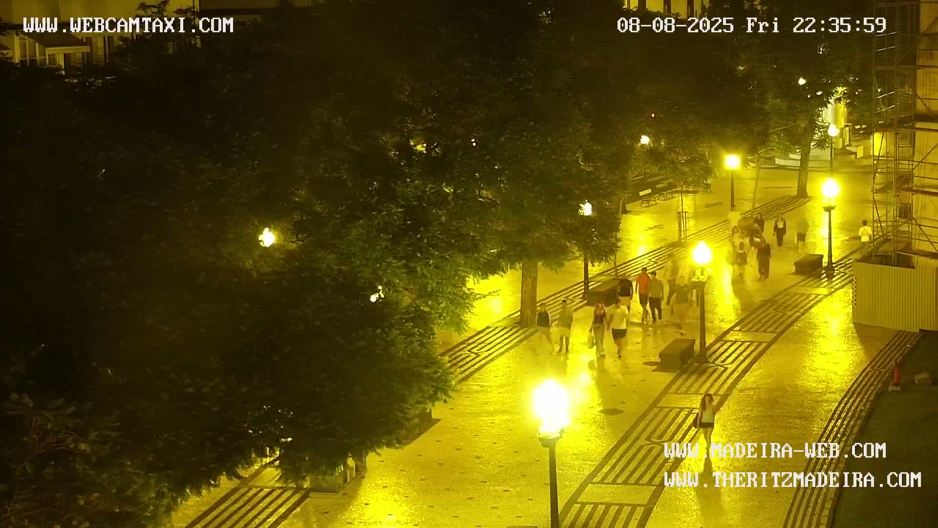 Ritz, Avenida Arriaga Avenue & Joao Goncalves Zarco Statue Live Cam - Funchal, Madeira, Portugal