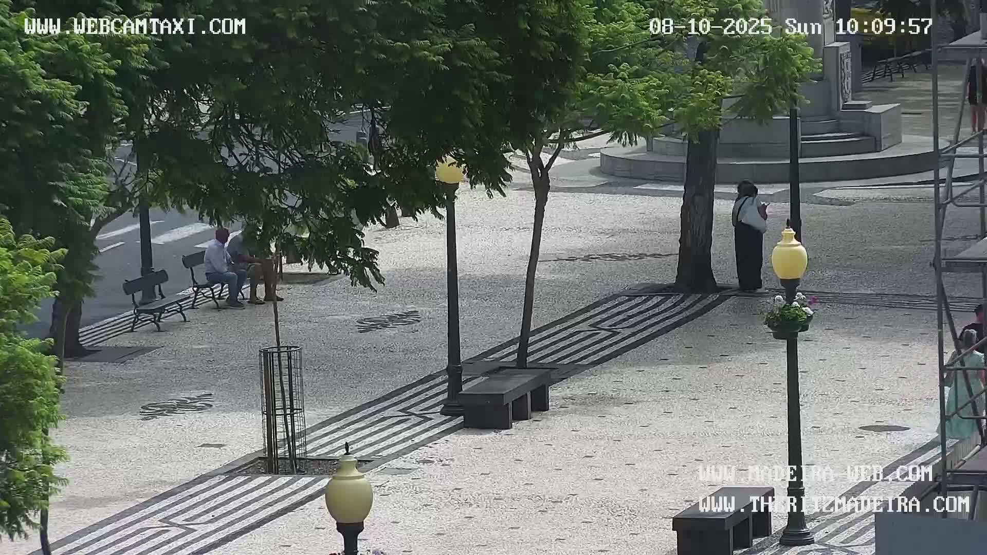 Ritz, Avenida Arriaga Avenue & Joao Goncalves Zarco Statue Live Cam - Funchal, Madeira, Portugal