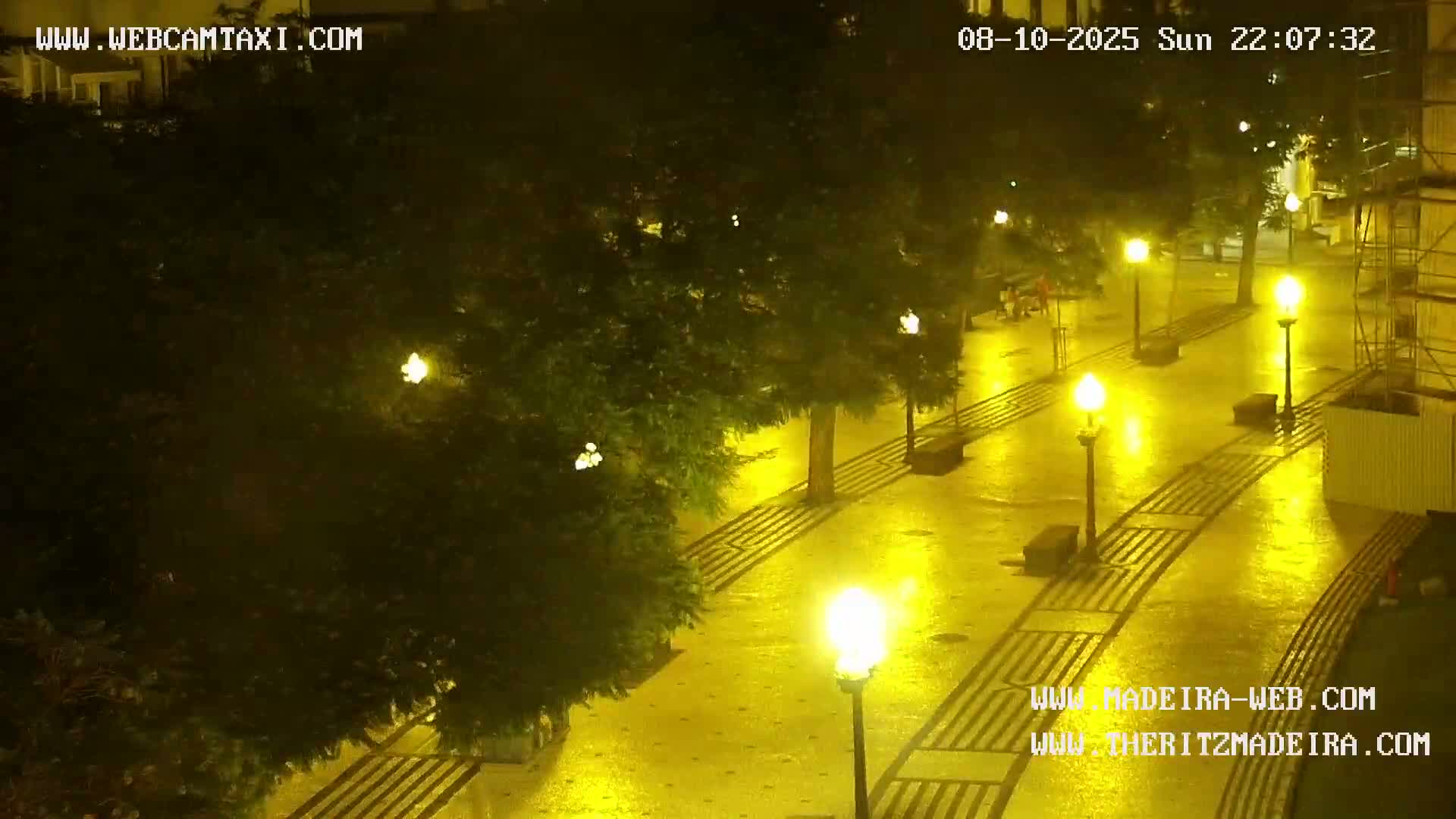 Ritz, Avenida Arriaga Avenue & Joao Goncalves Zarco Statue Live Cam - Funchal, Madeira, Portugal