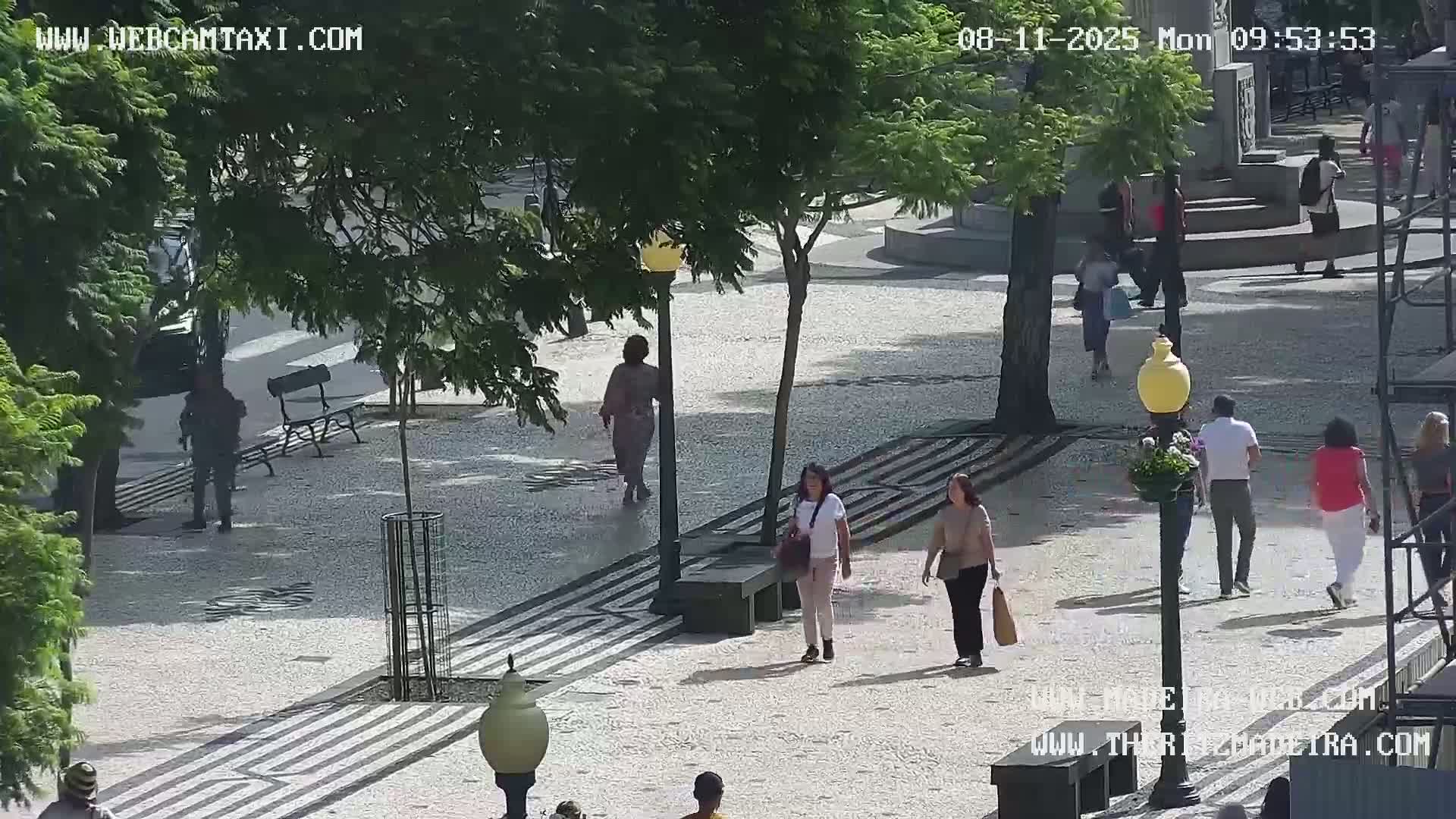 Ritz, Avenida Arriaga Avenue & Joao Goncalves Zarco Statue Live Cam - Funchal, Madeira, Portugal