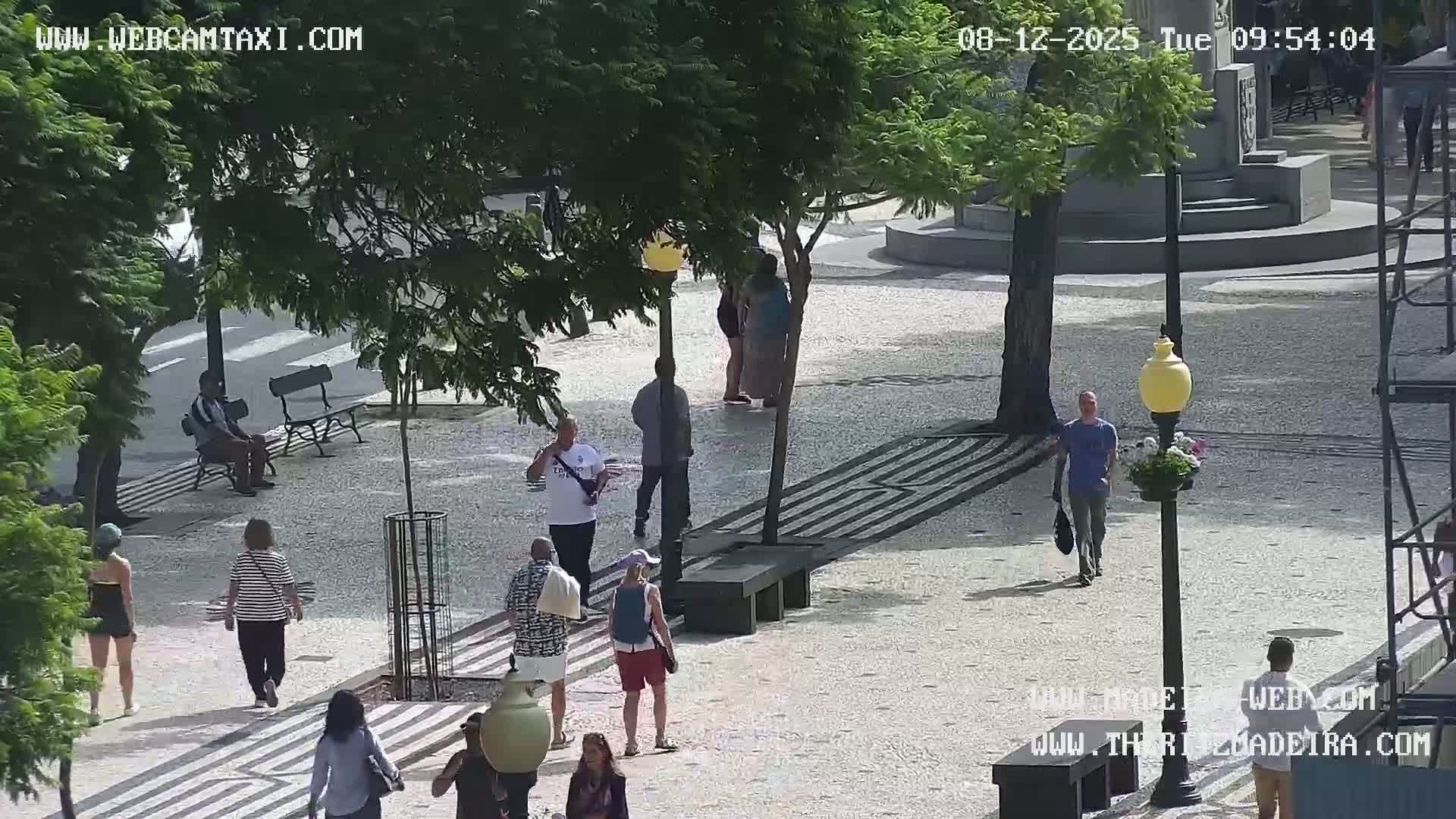 Ritz, Avenida Arriaga Avenue & Joao Goncalves Zarco Statue Live Cam - Funchal, Madeira, Portugal