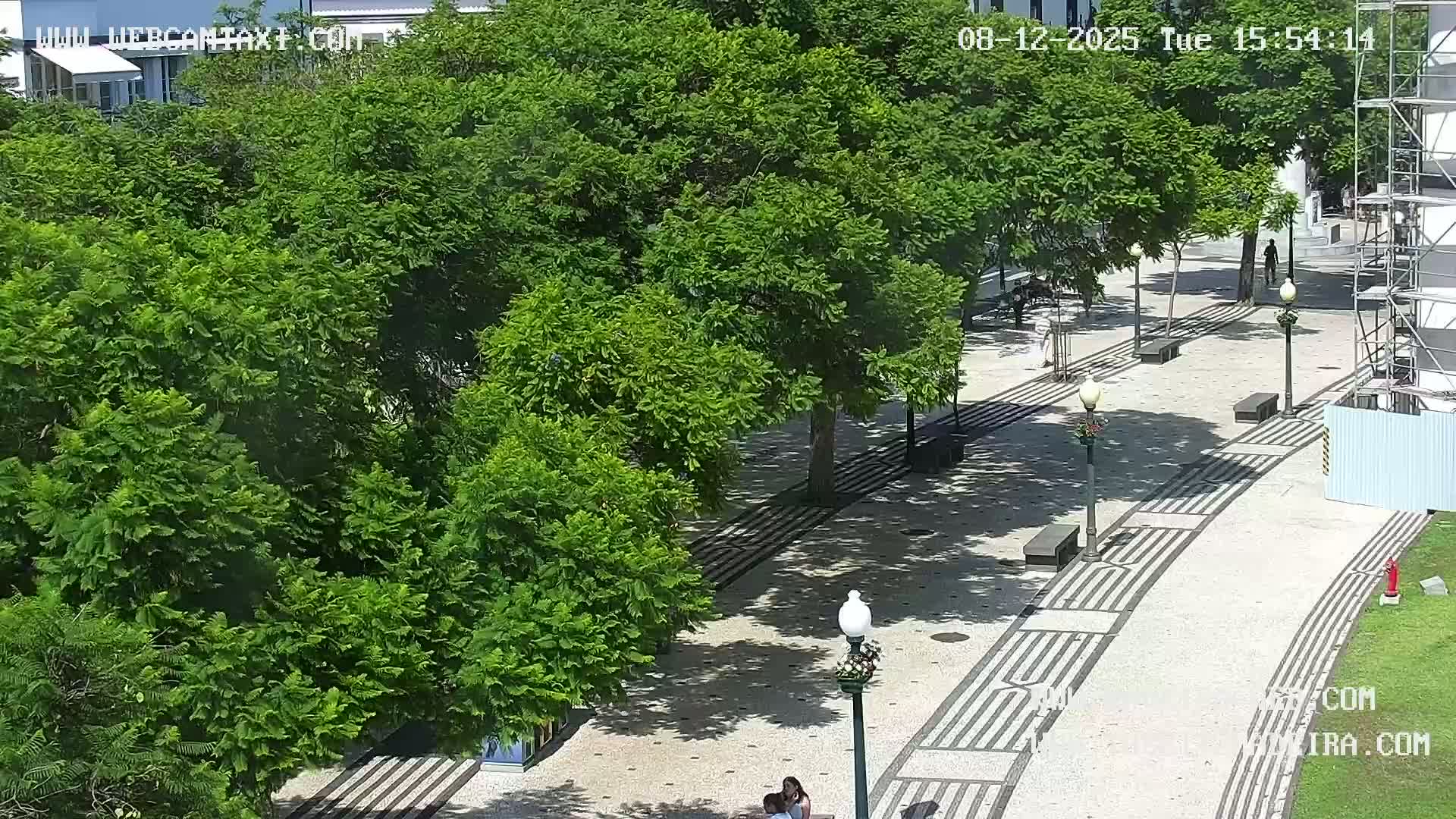 Ritz, Avenida Arriaga Avenue & Joao Goncalves Zarco Statue Live Cam - Funchal, Madeira, Portugal
