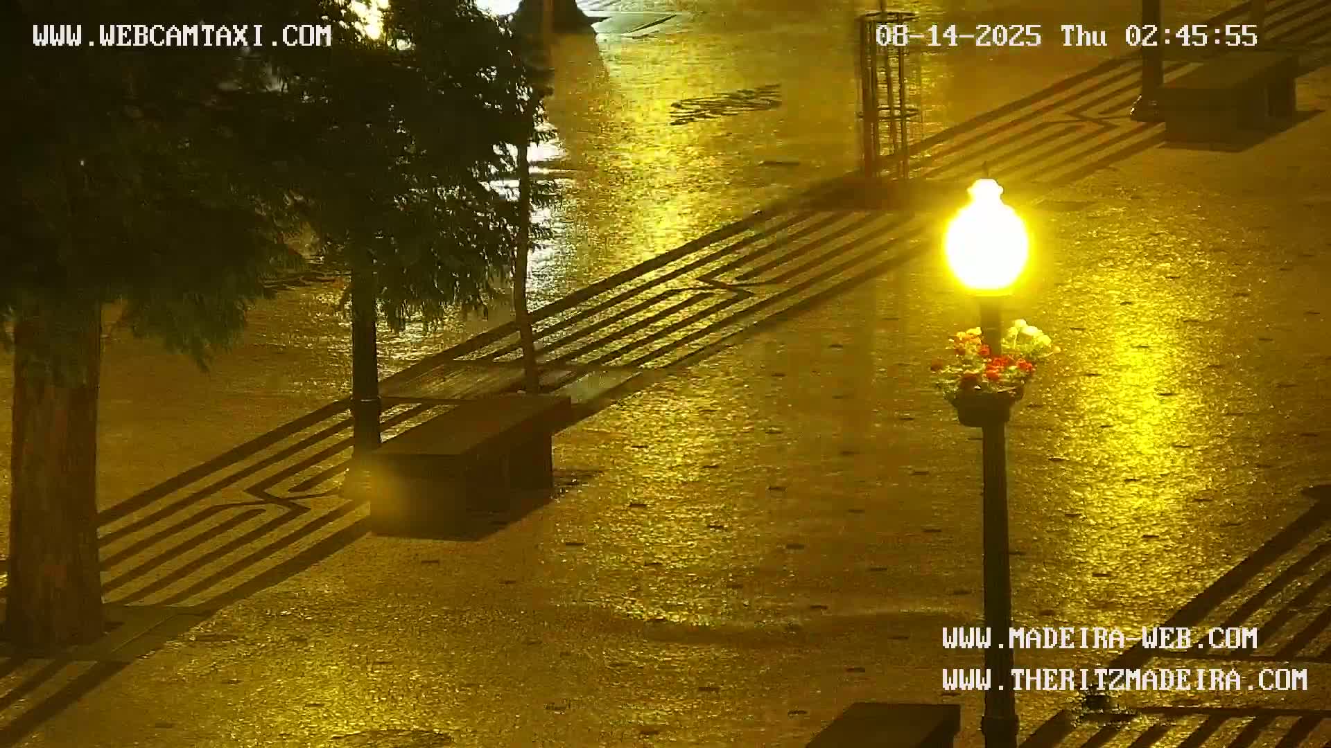Ritz, Avenida Arriaga Avenue & Joao Goncalves Zarco Statue Live Cam - Funchal, Madeira, Portugal