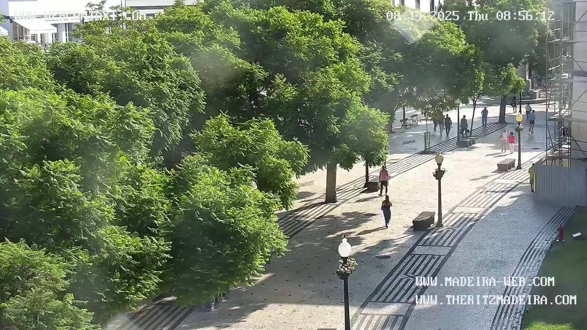 Ritz, Avenida Arriaga Avenue & Joao Goncalves Zarco Statue Live Cam - Funchal, Madeira, Portugal