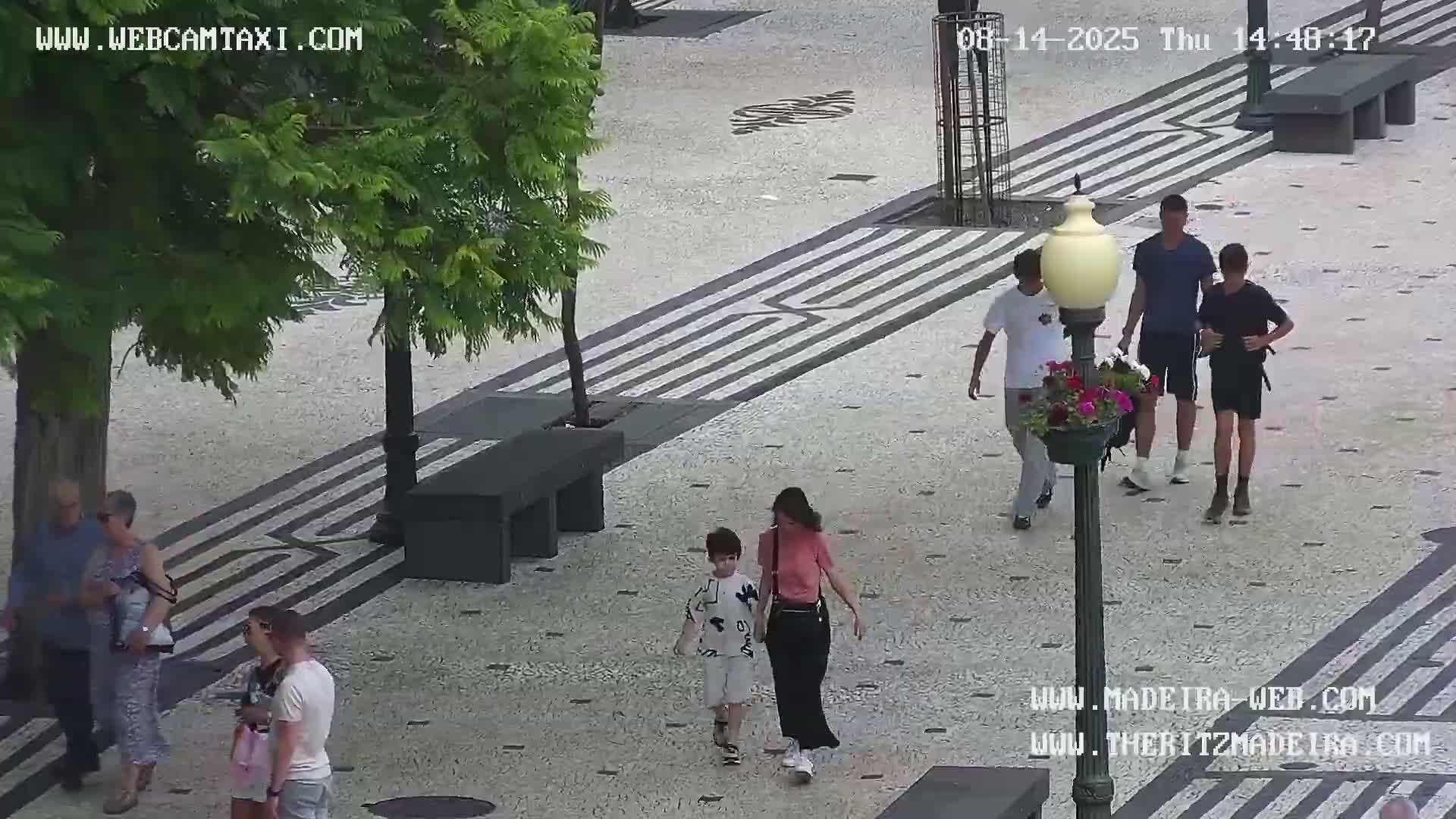 Ritz, Avenida Arriaga Avenue & Joao Goncalves Zarco Statue Live Cam - Funchal, Madeira, Portugal