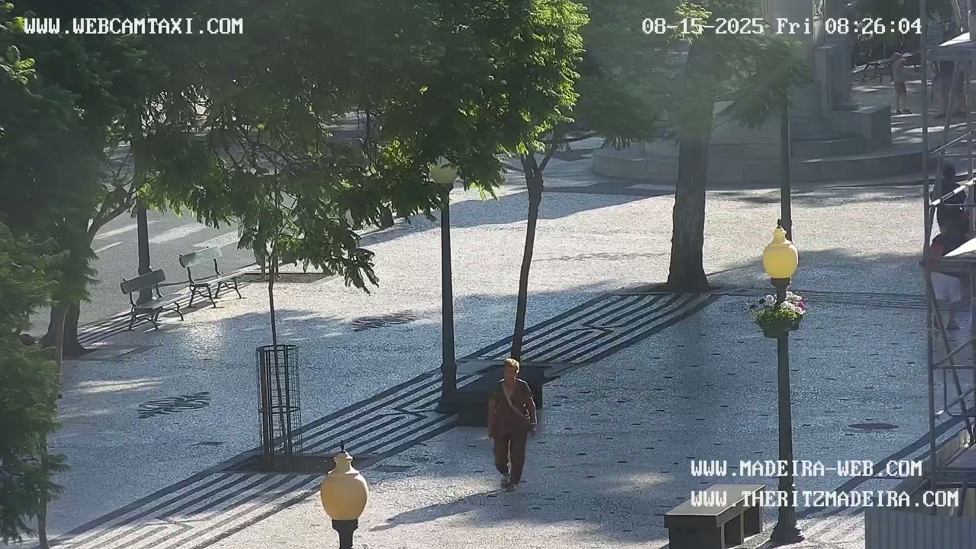Ritz, Avenida Arriaga Avenue & Joao Goncalves Zarco Statue Live Cam - Funchal, Madeira, Portugal