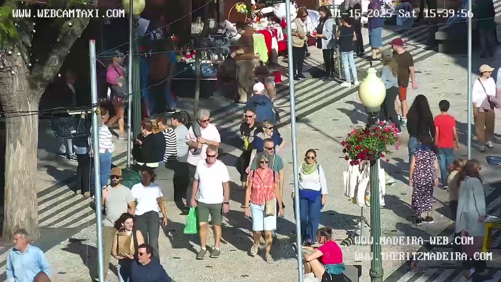 Ritz, Avenida Arriaga Avenue & Joao Goncalves Zarco Statue Live Cam - Funchal, Madeira, Portugal