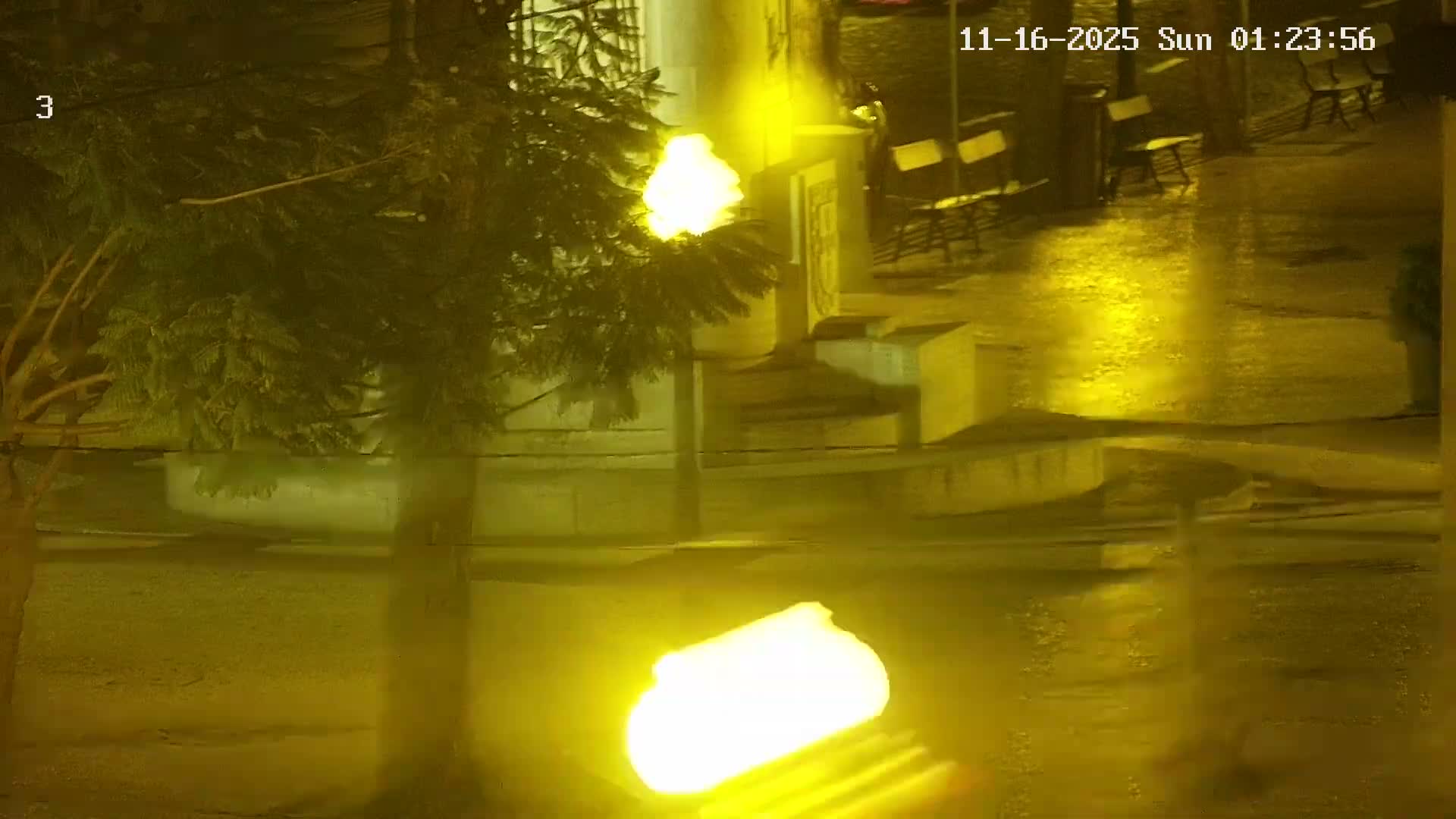 Ritz, Avenida Arriaga Avenue & Joao Goncalves Zarco Statue Live Cam - Funchal, Madeira, Portugal