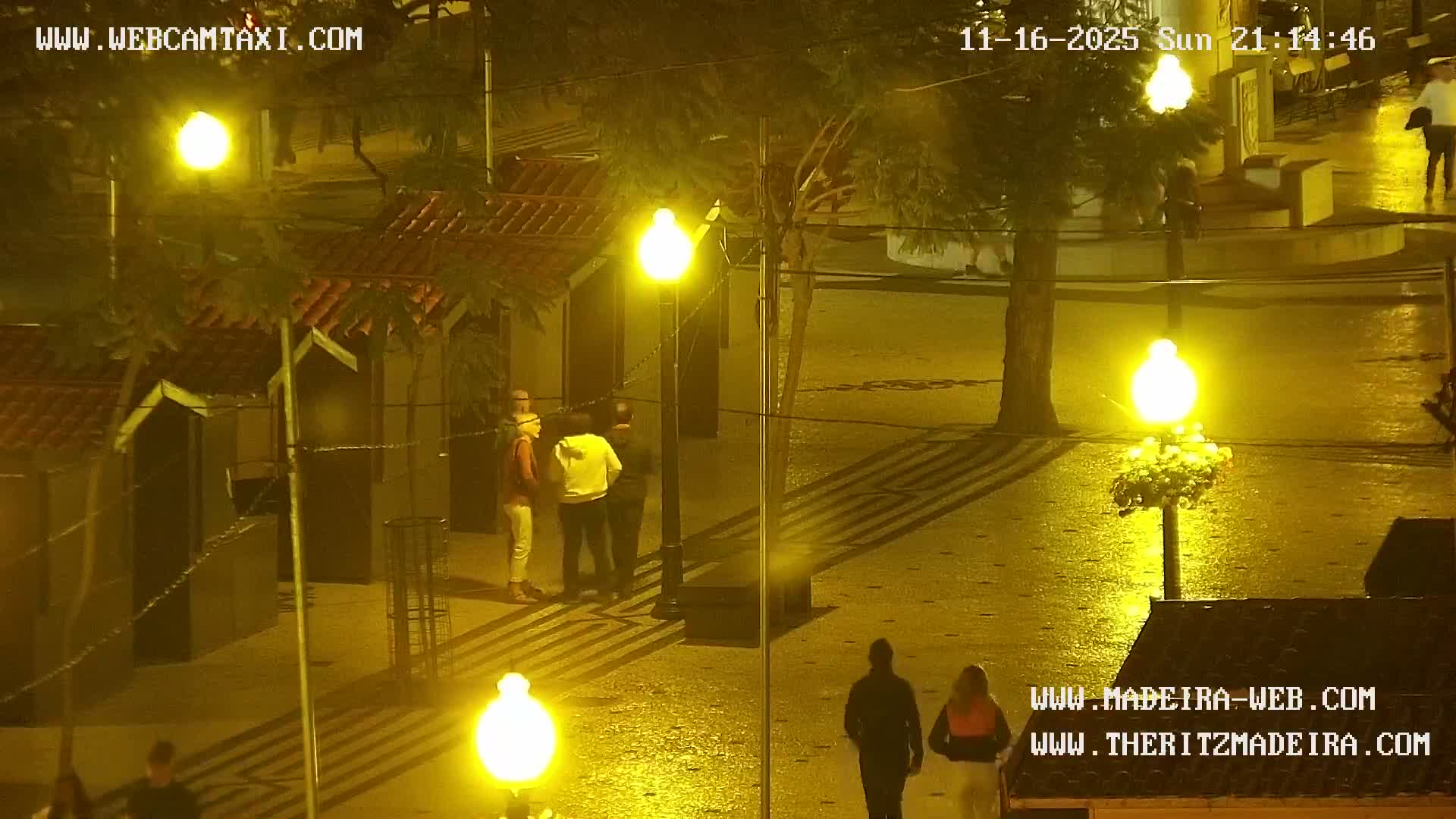 Ritz, Avenida Arriaga Avenue & Joao Goncalves Zarco Statue Live Cam - Funchal, Madeira, Portugal
