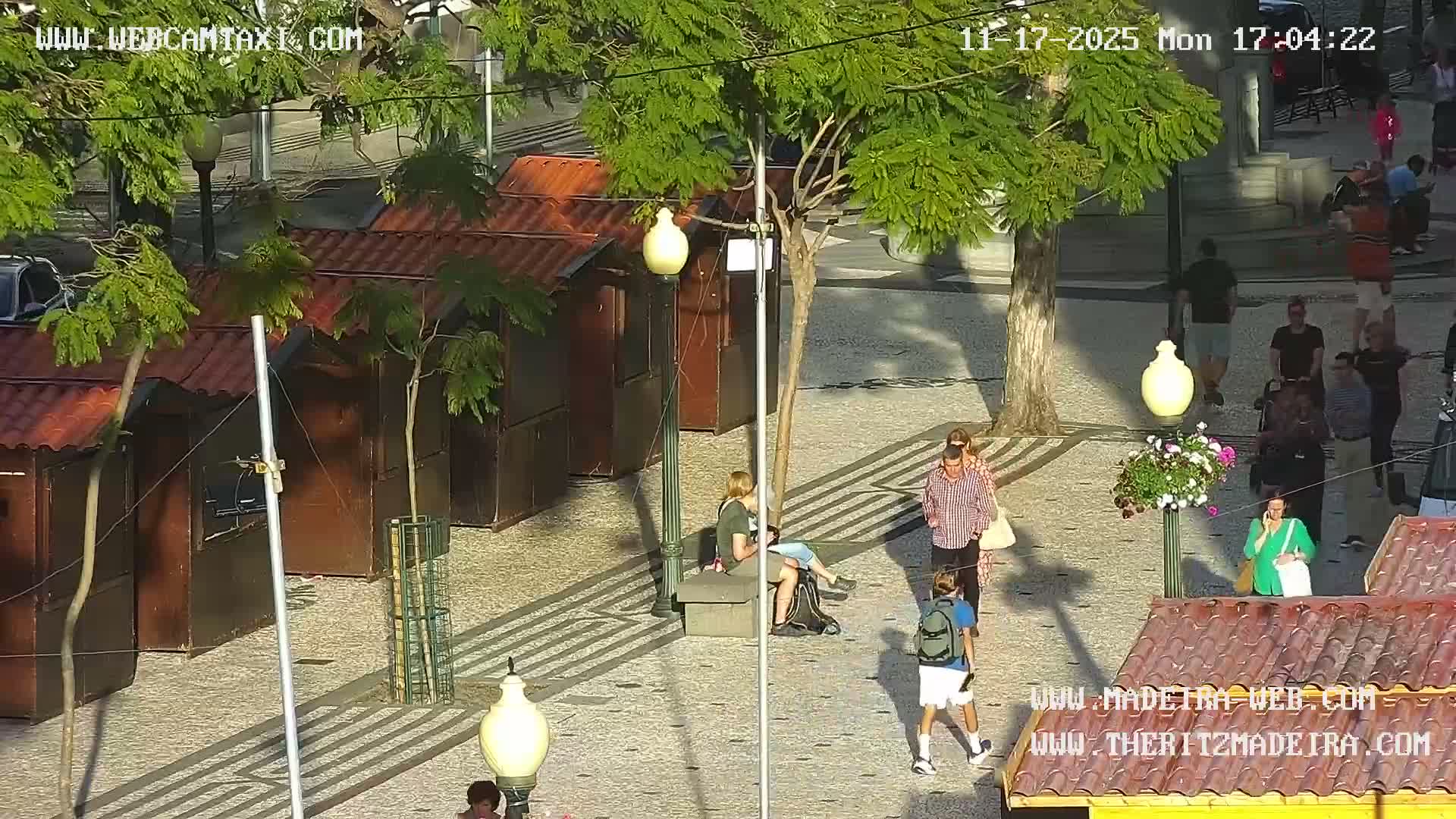 Ritz, Avenida Arriaga Avenue & Joao Goncalves Zarco Statue Live Cam - Funchal, Madeira, Portugal