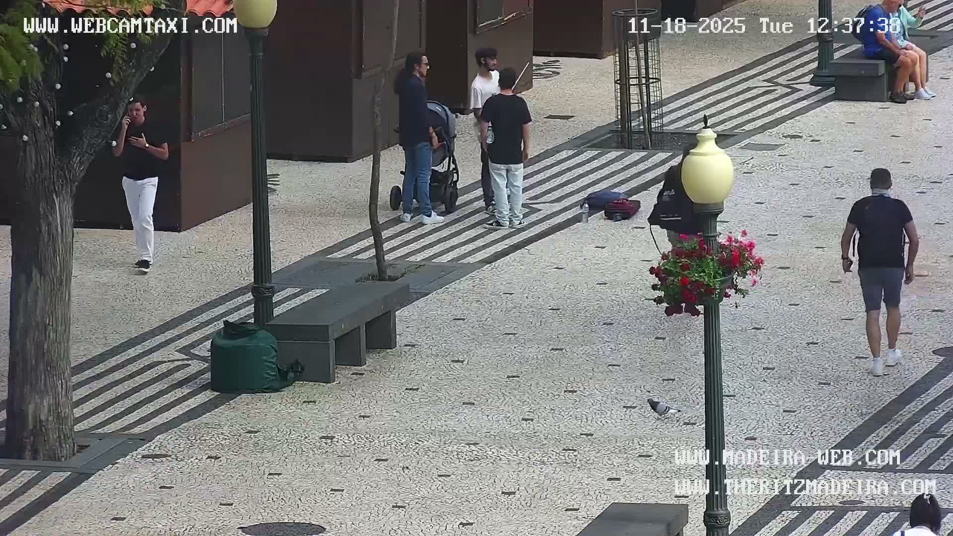 A rain-slicked plaza at night is illuminated by numerous lampposts, with trees lining the edges and a few people walking.