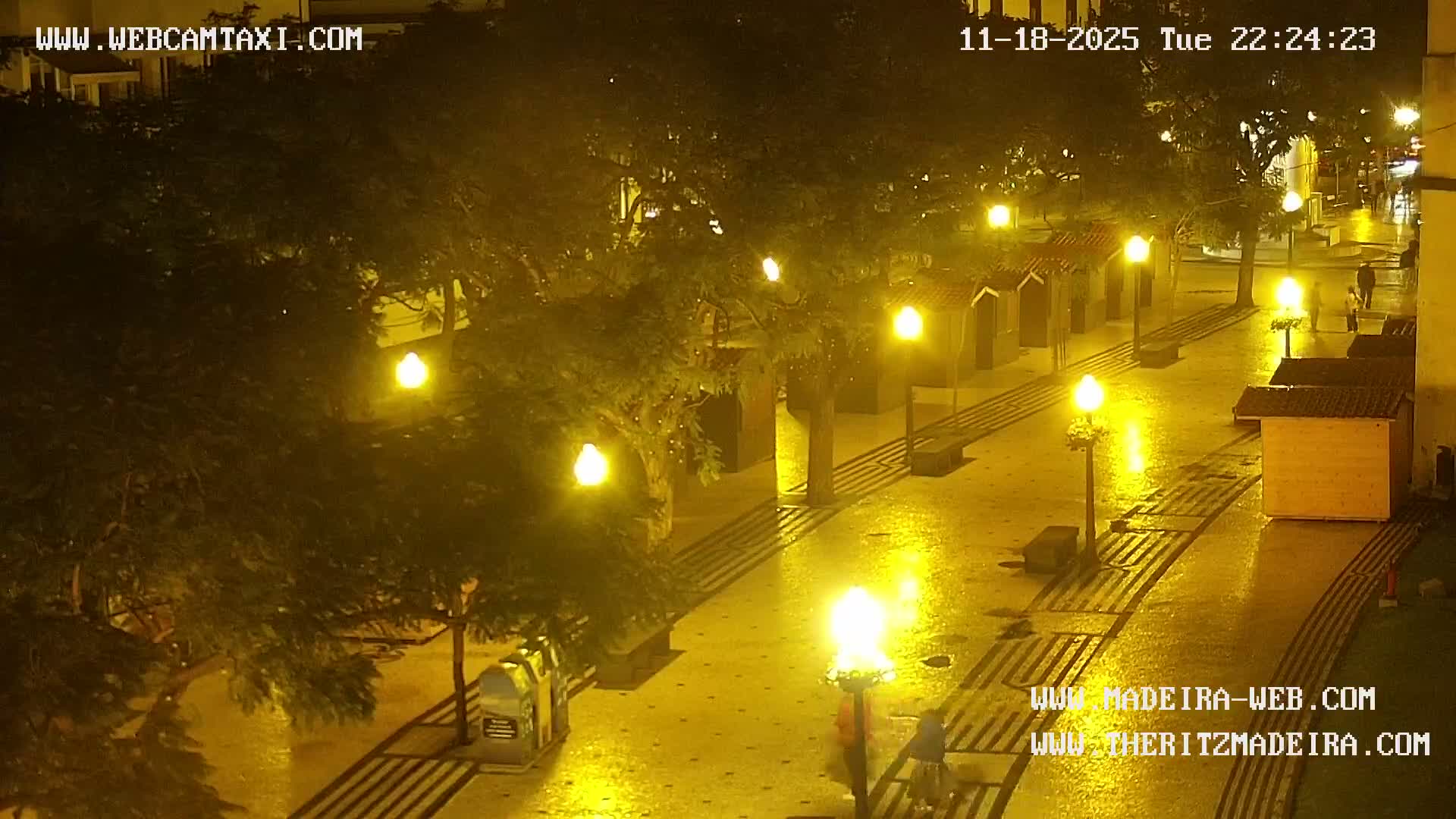 Ritz, Avenida Arriaga Avenue & Joao Goncalves Zarco Statue Live Cam - Funchal, Madeira, Portugal
