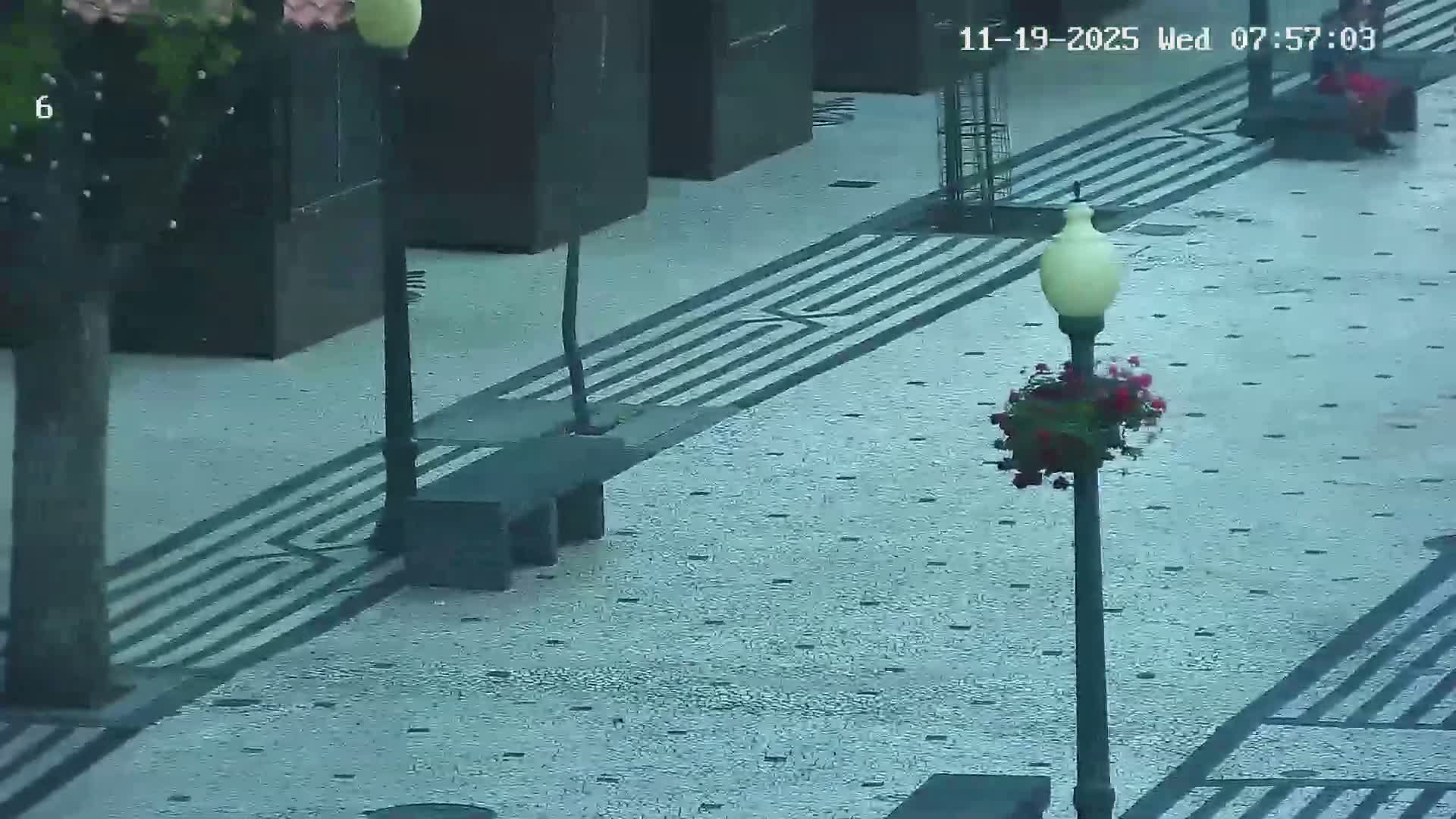 Ritz, Avenida Arriaga Avenue & Joao Goncalves Zarco Statue Live Cam - Funchal, Madeira, Portugal