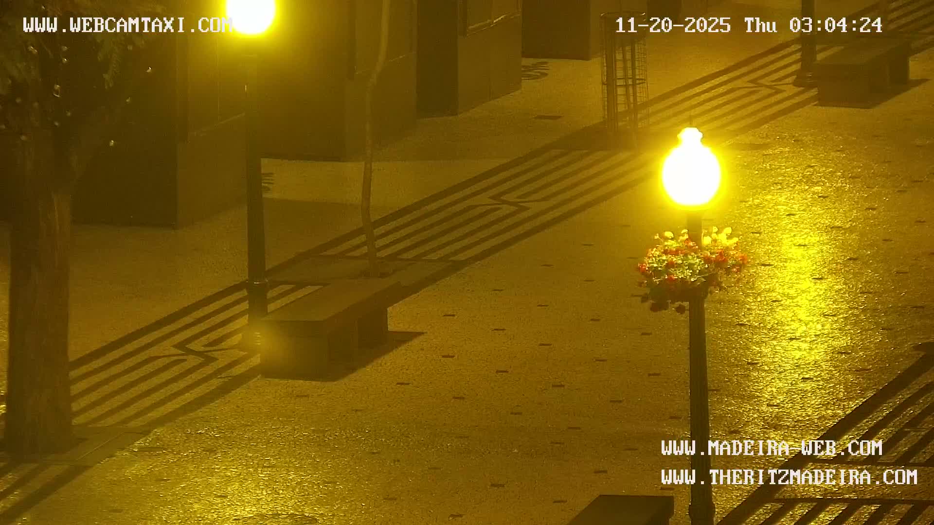 Ritz, Avenida Arriaga Avenue & Joao Goncalves Zarco Statue Live Cam - Funchal, Madeira, Portugal