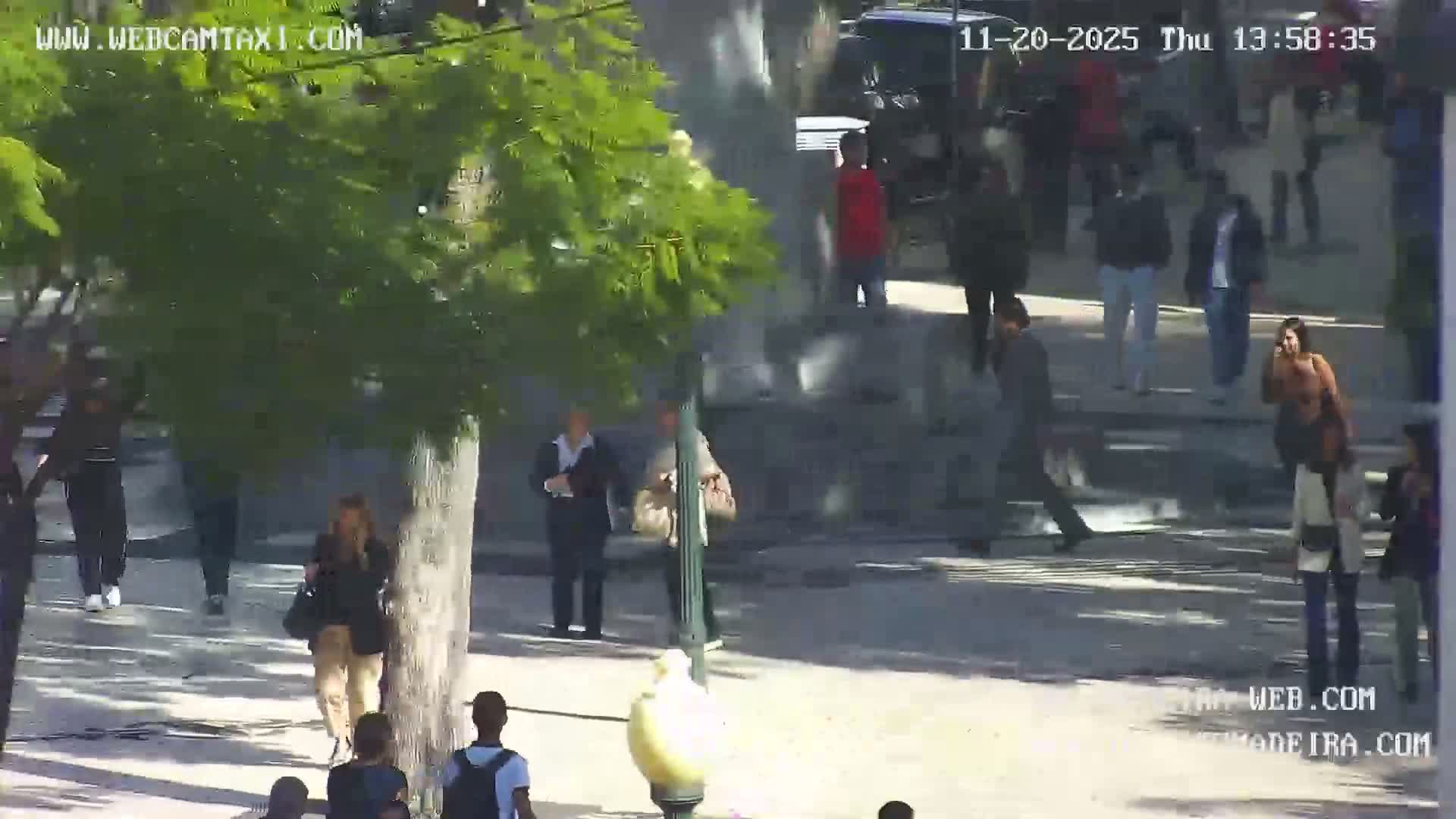Ritz, Avenida Arriaga Avenue & Joao Goncalves Zarco Statue Live Cam - Funchal, Madeira, Portugal