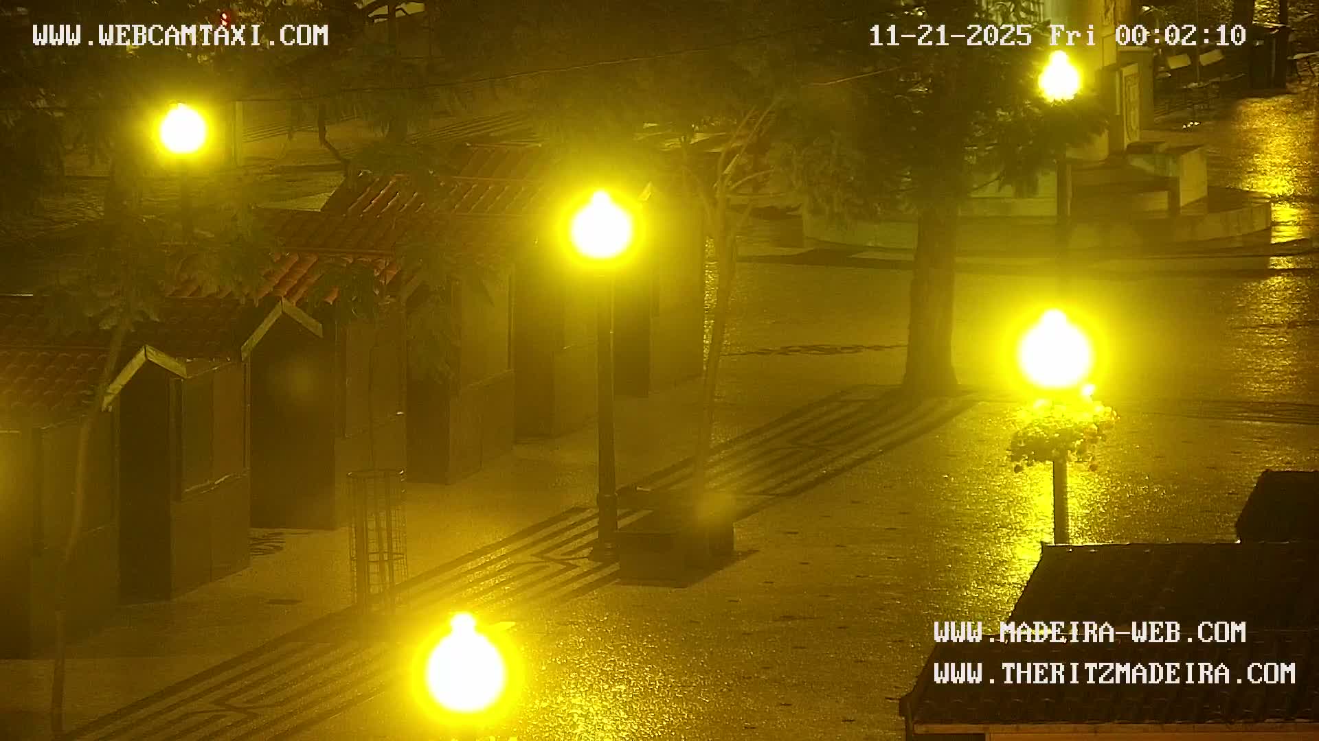 Ritz, Avenida Arriaga Avenue & Joao Goncalves Zarco Statue Live Cam - Funchal, Madeira, Portugal