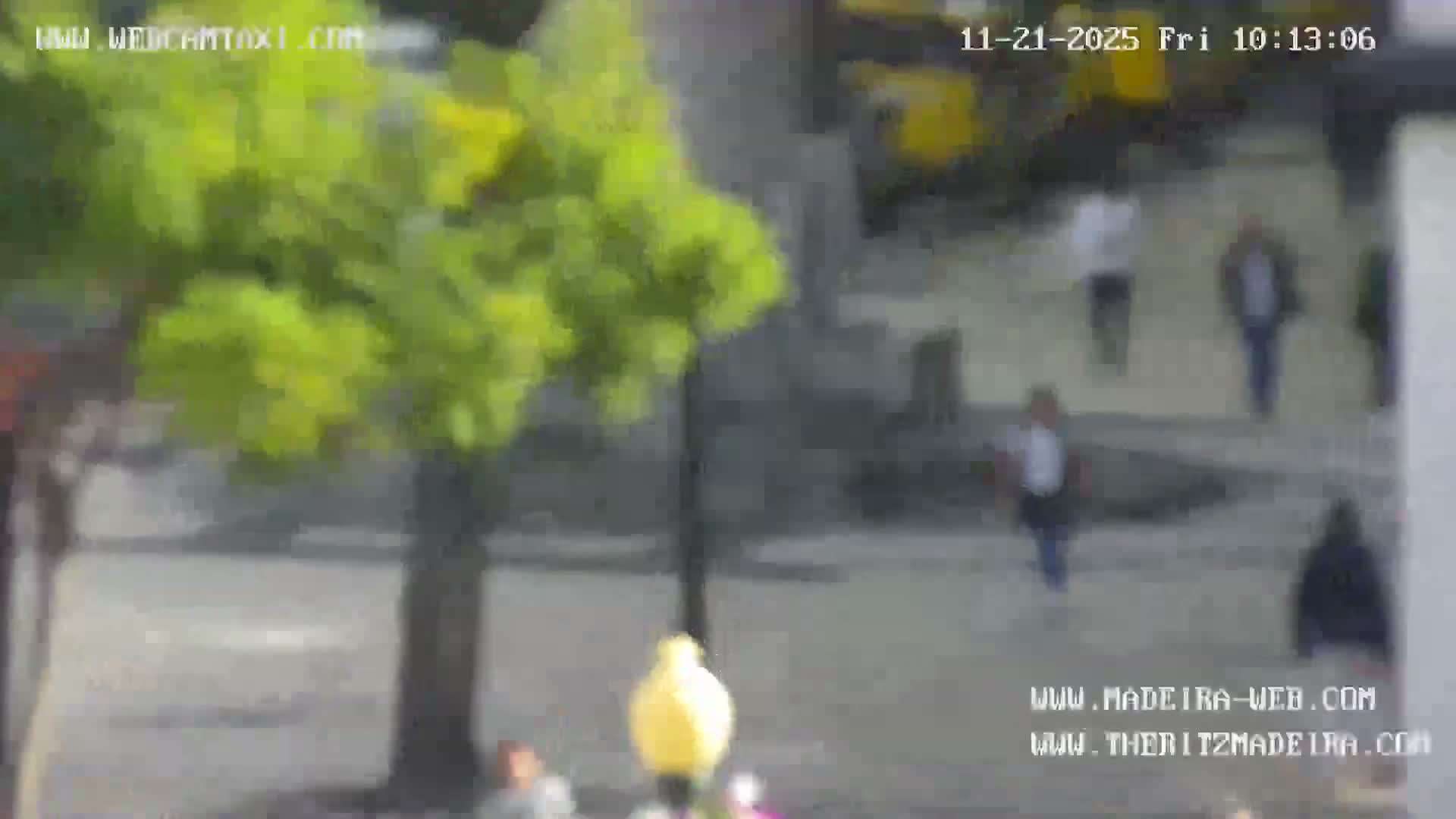 A blurry outdoor webcam view on a clear day shows a prominent green-leafed tree and a yellow lamppost in the foreground, with several indistinct pedestrians moving across a paved area and blurry buildings in the background.